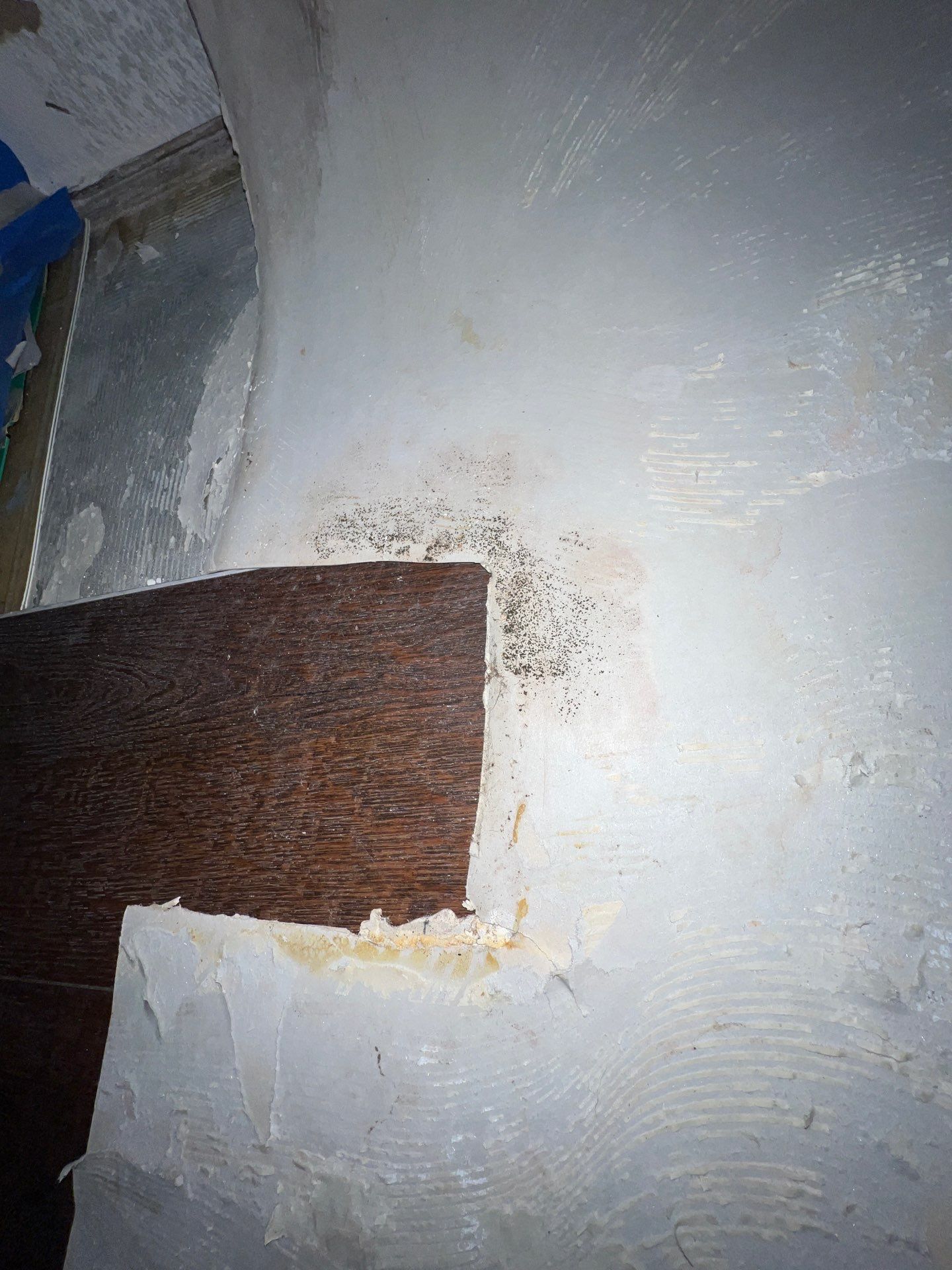 Stansell - water and mold photos  by THE RAPID TEAM