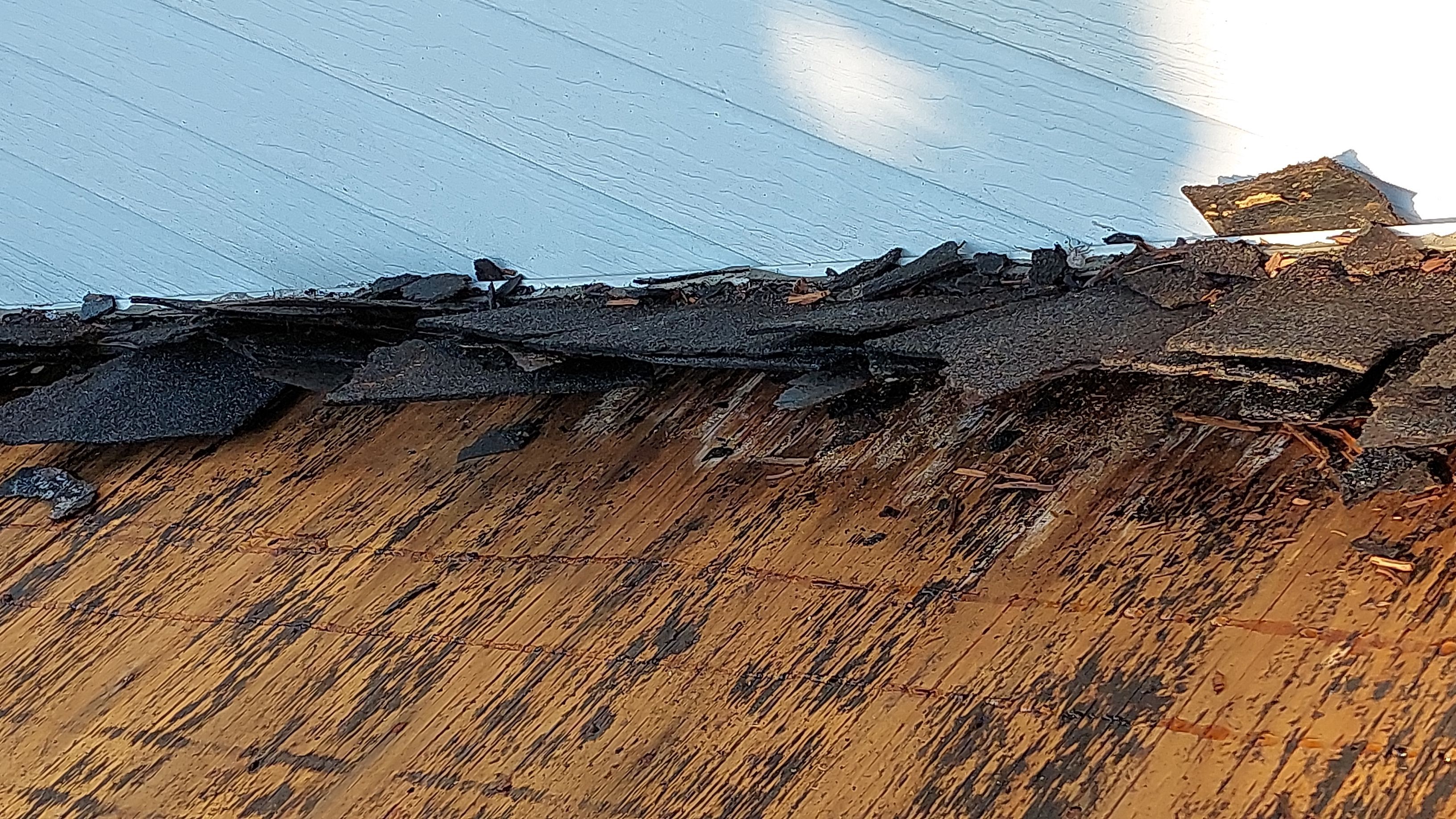 Liberty Township - Pristine Black by Tamlin Roofing