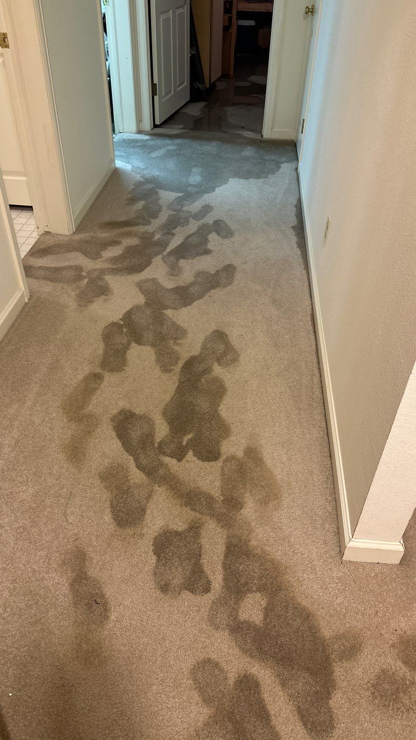 Water Damage by Accountable Home Services