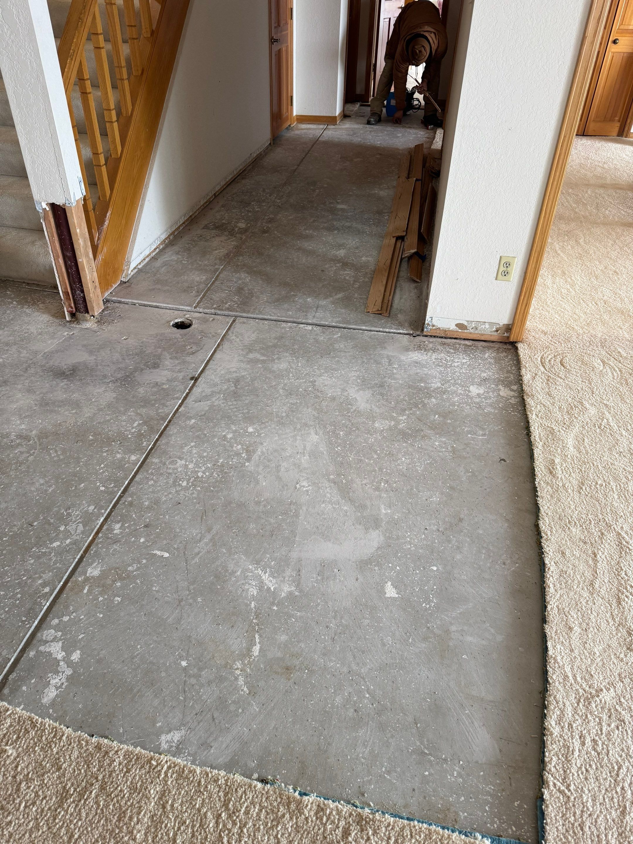 Water Damage in Wheat Ridge, CO by Alpha Restoration 