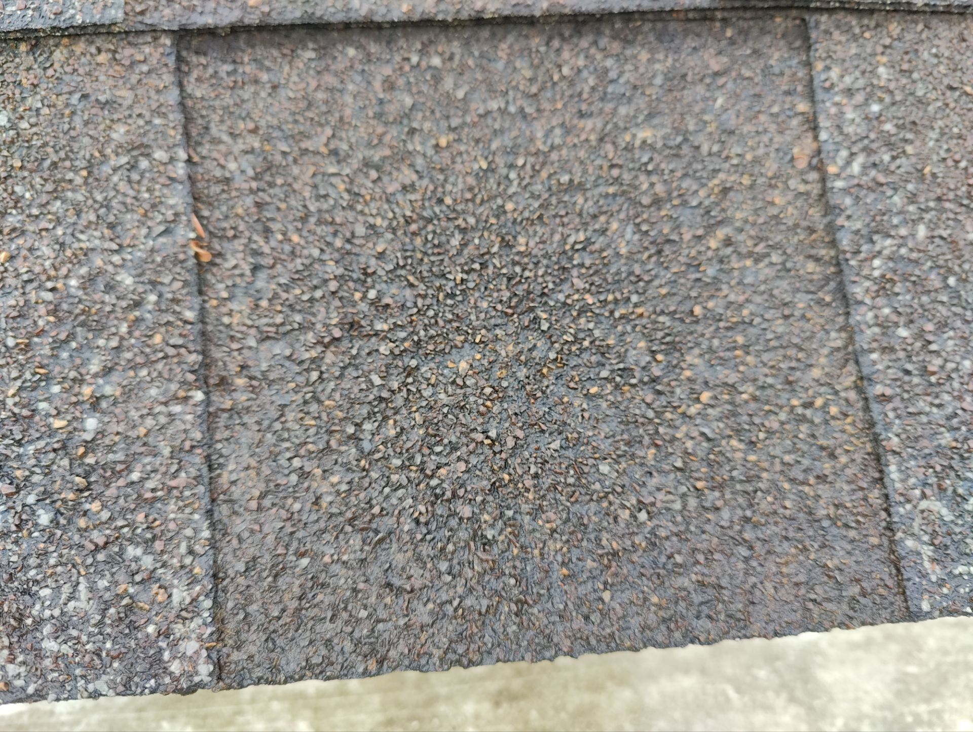 Roof Replacement using Owens Corning Desert Rose by 180 Contractors