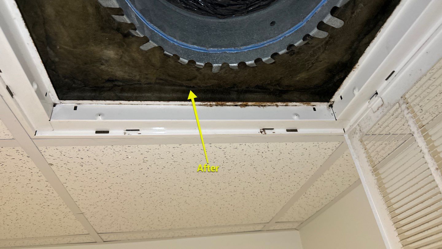 Commercial Air Duct Cleaning in Lake Mary by Hygienic Air, Inc