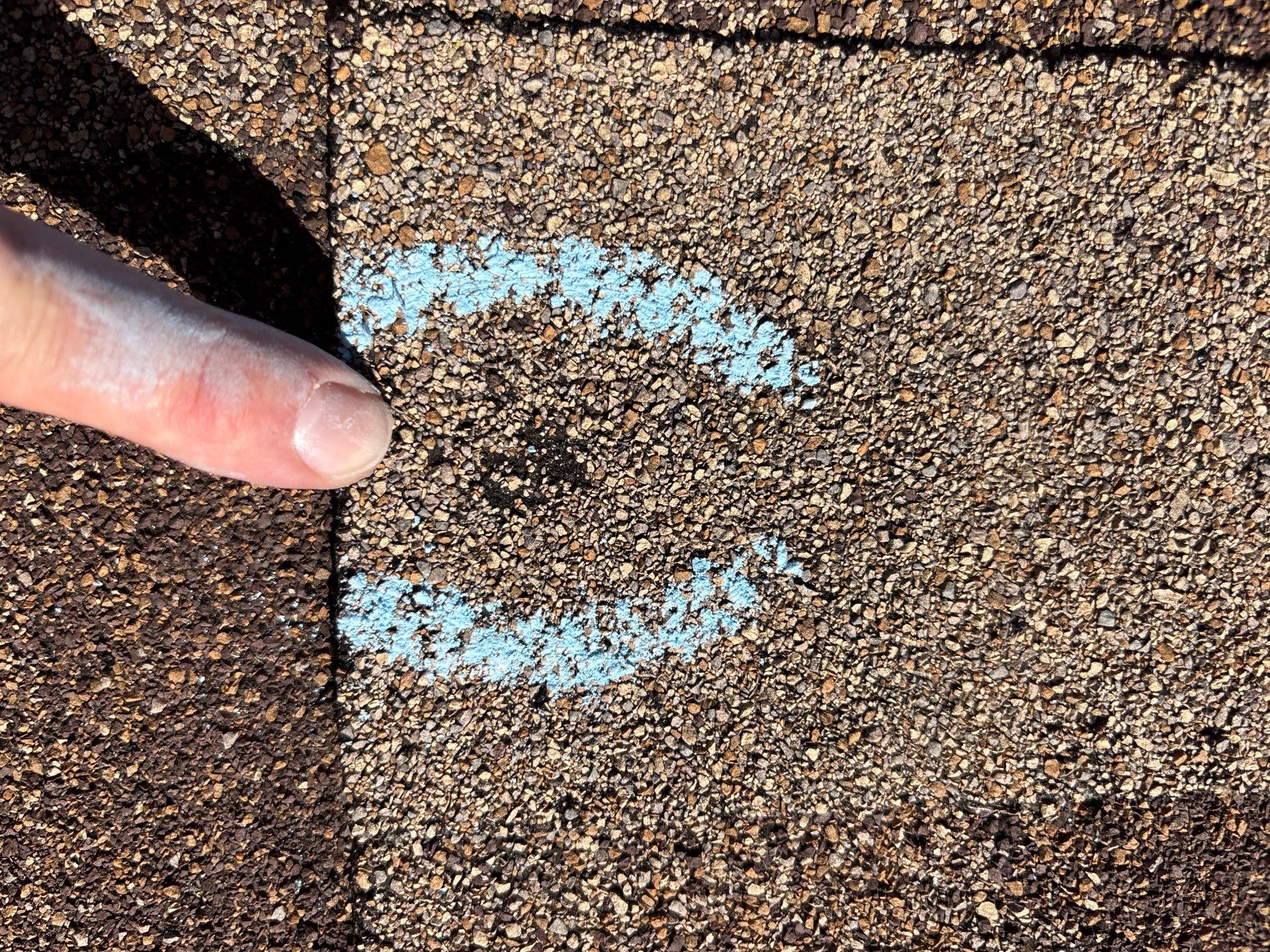 Nicole S by Boss Hogg Roofing