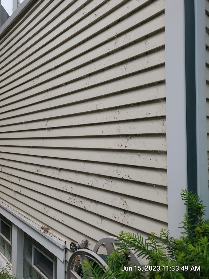 Housewashing  using Algaecide, soft wash soap by Northern Power Washing LLC.