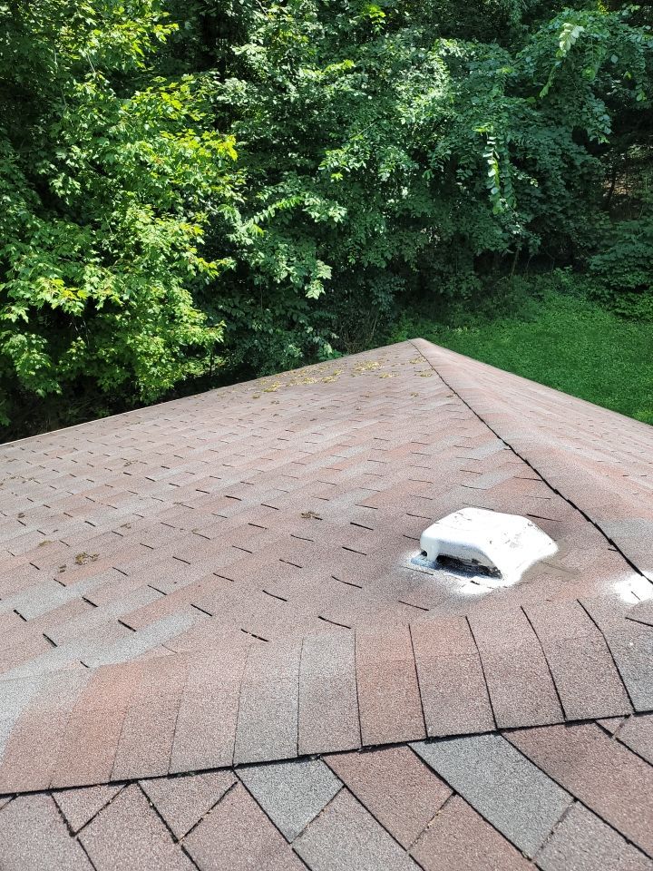 Atlas Pinnacle Pristine Scotchgard: Hickory Drip Edge: Musket brown by Eagle Eye Roofing