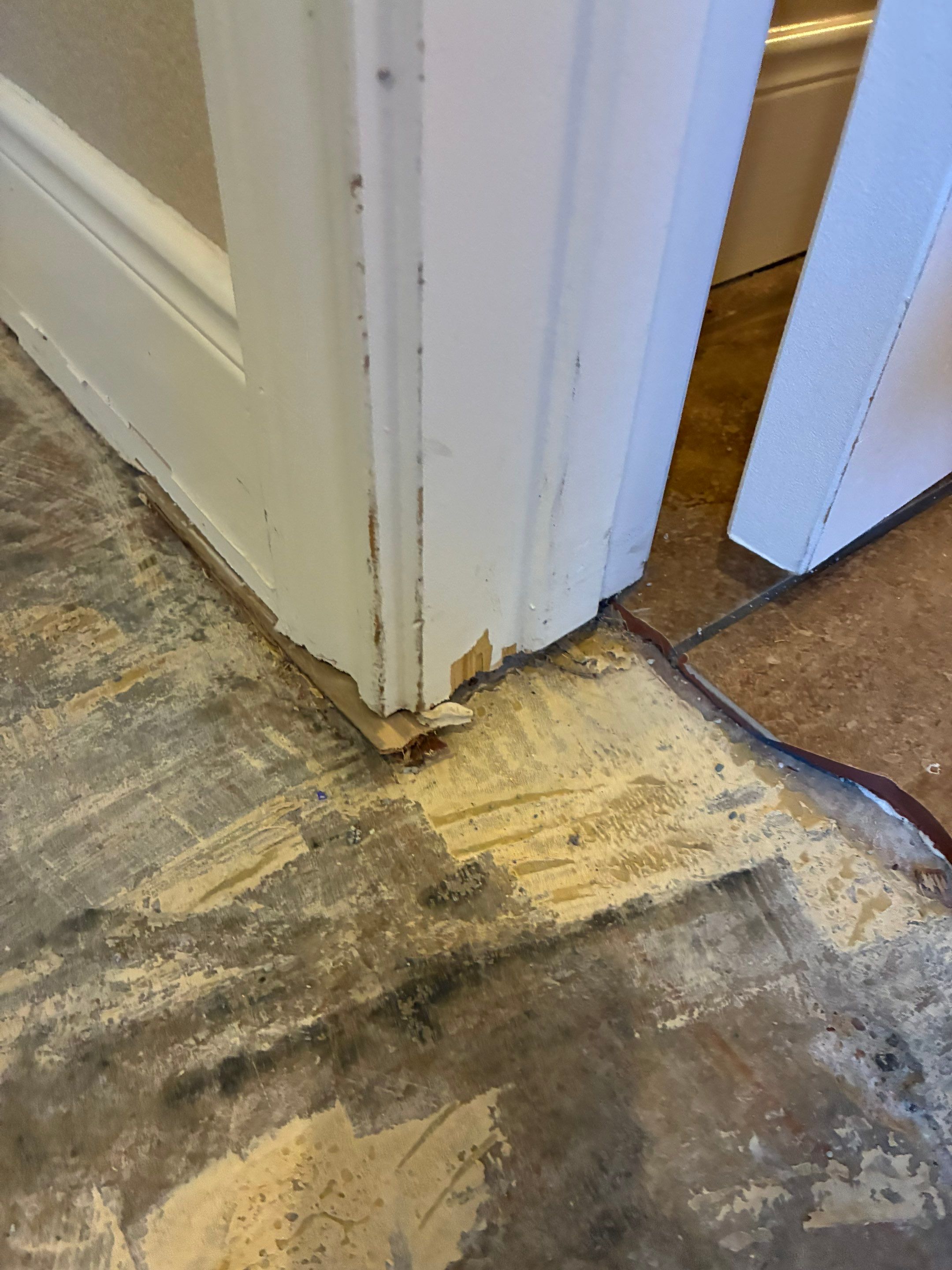 Project in Bastrop by ASHLEY & CO.