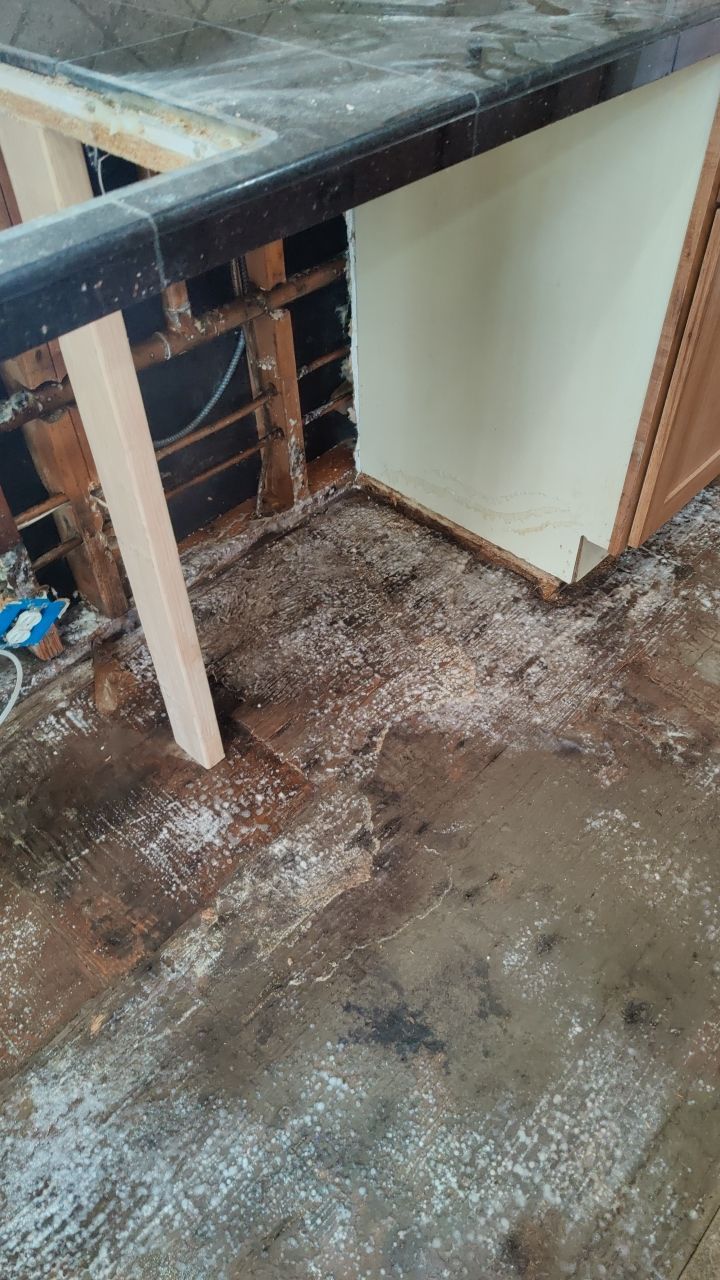 Mold Damage by Accountable Home Services