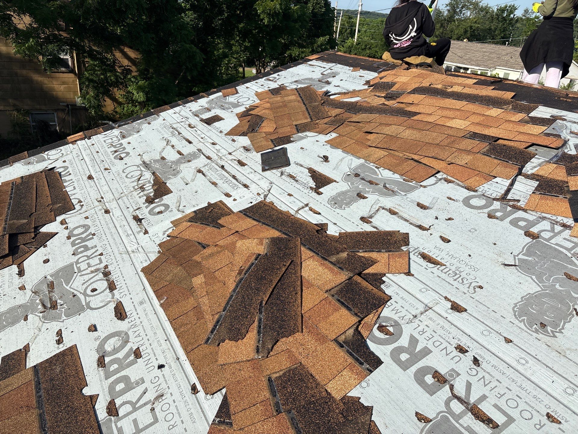 Residential Roofing Install - Atlas Pinnacle Pristine Shingle - Color Morning Harvest by Titan Commercial & Residential Roofing 