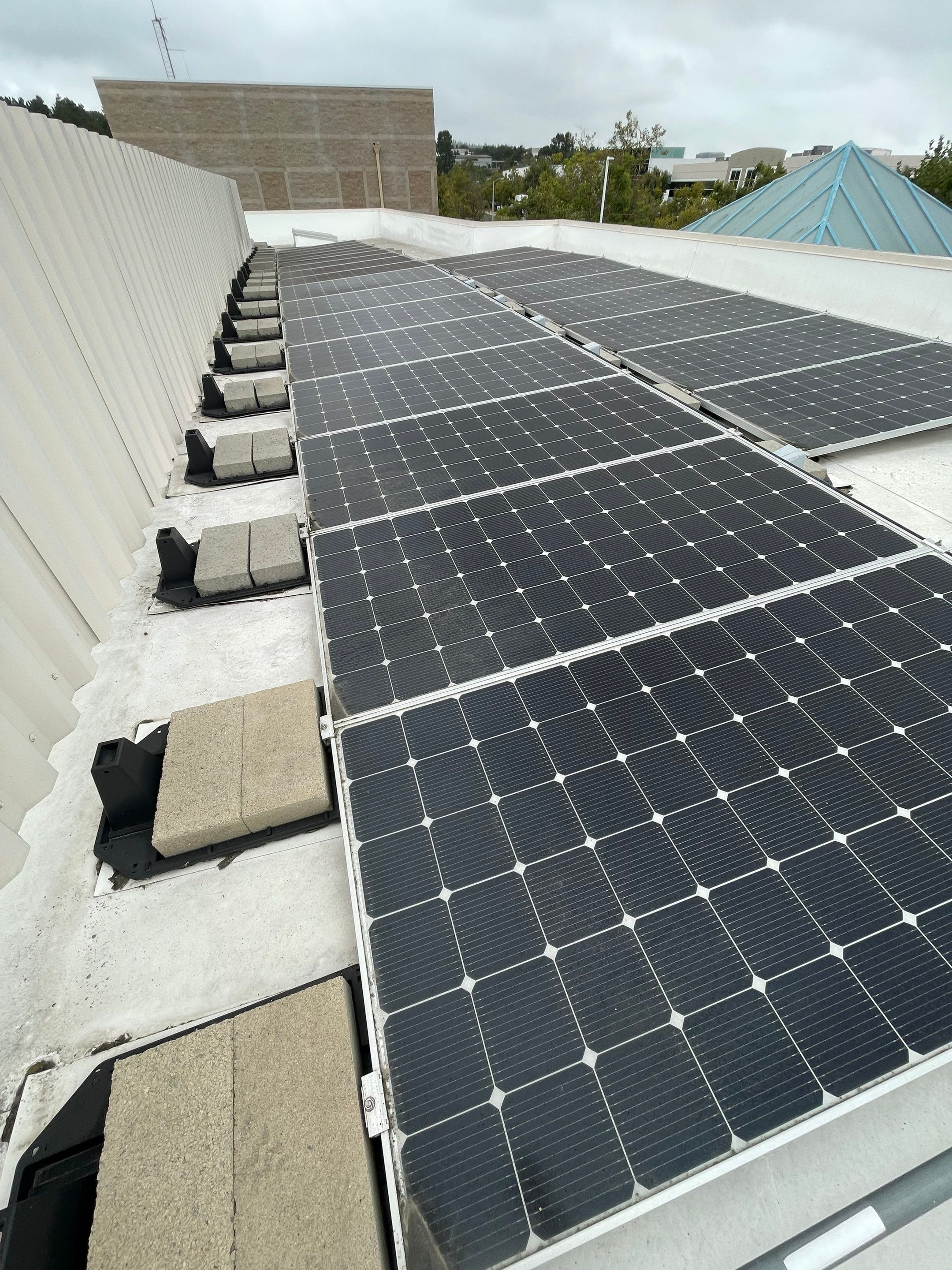 Commercial Solar Cleaning by Palm Coast Solar Cleaning