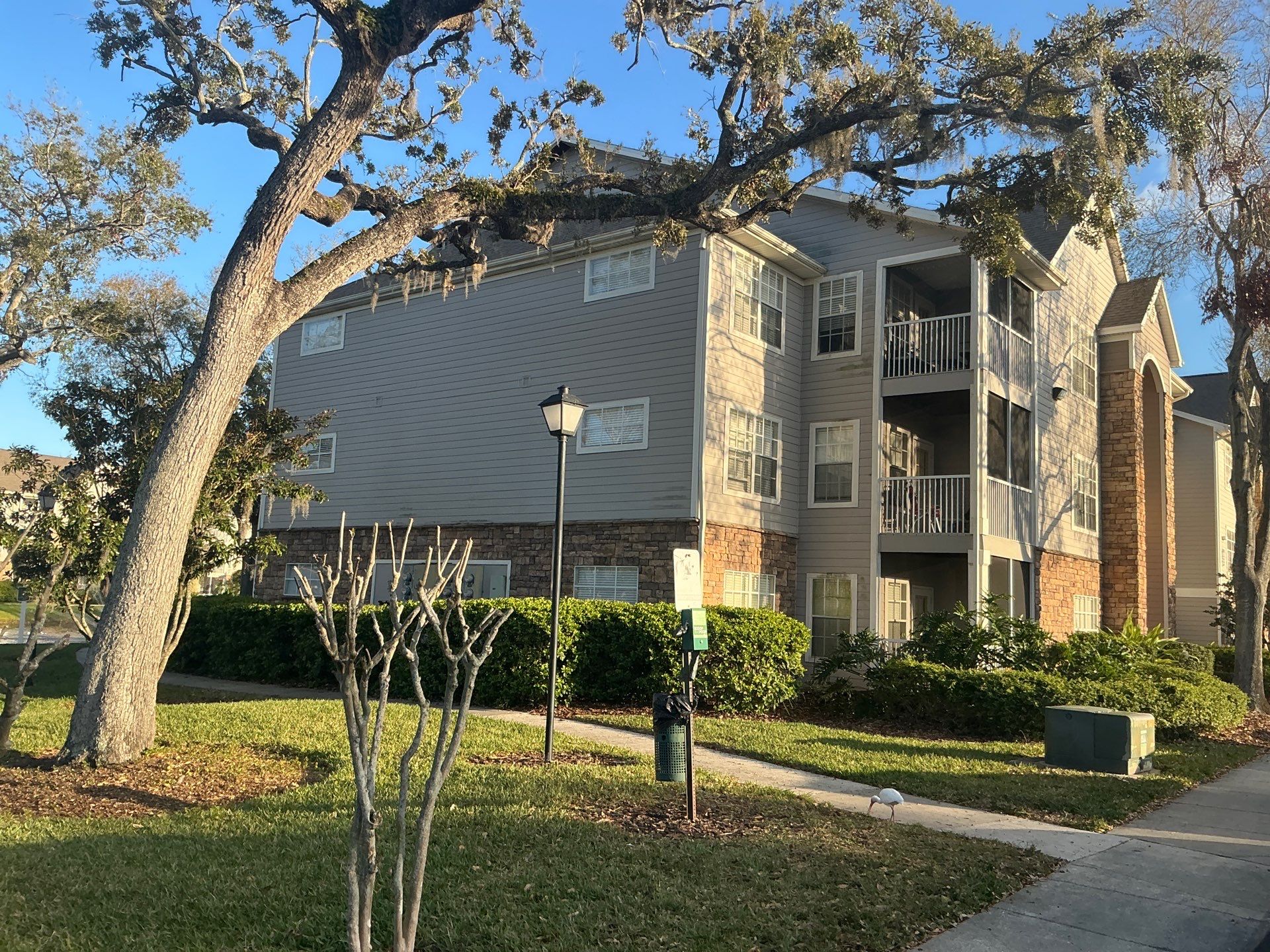 Downspouts for the High Buildings in Tampa FL by Gutter Professors