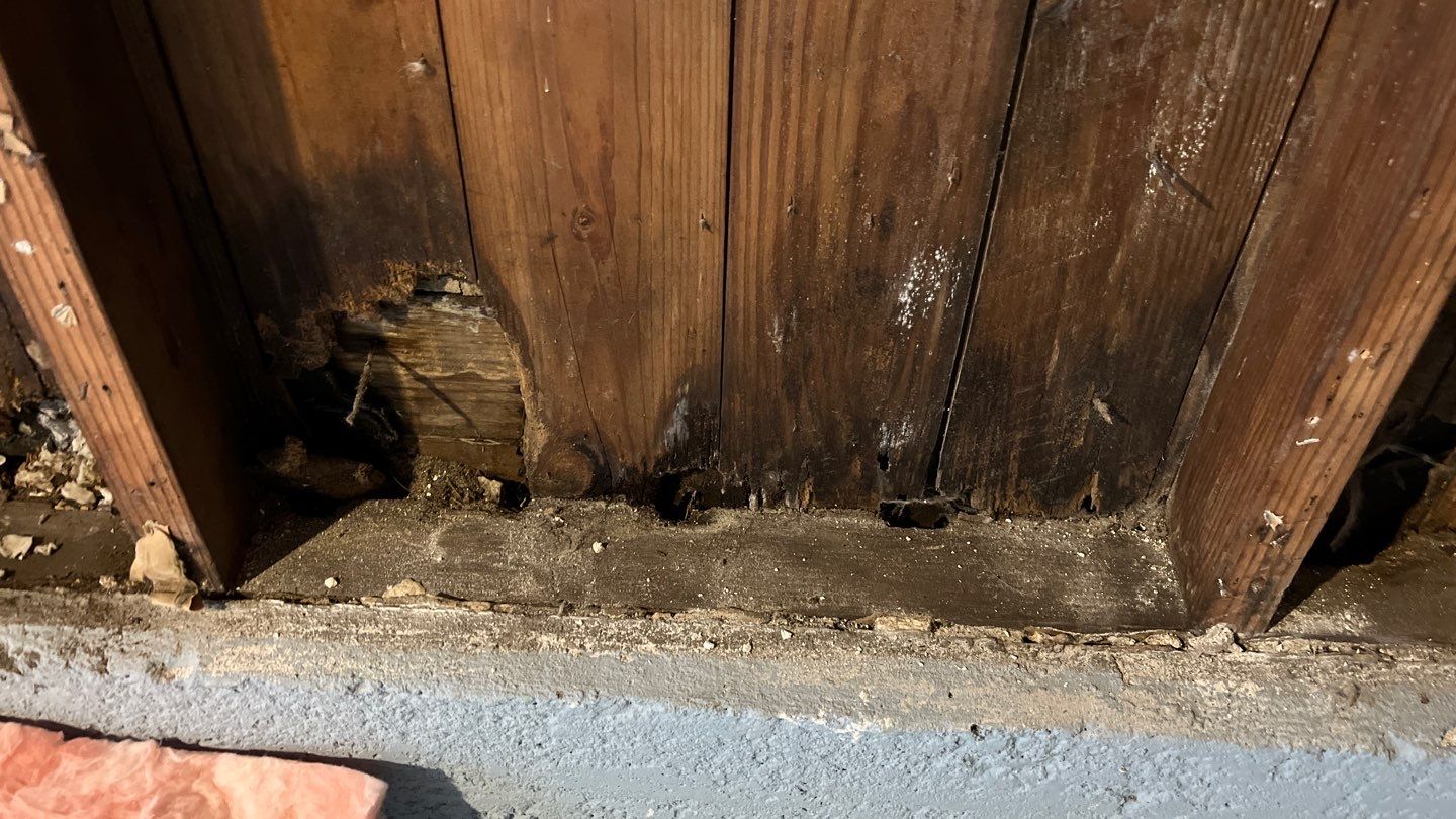 Water Damage by G2