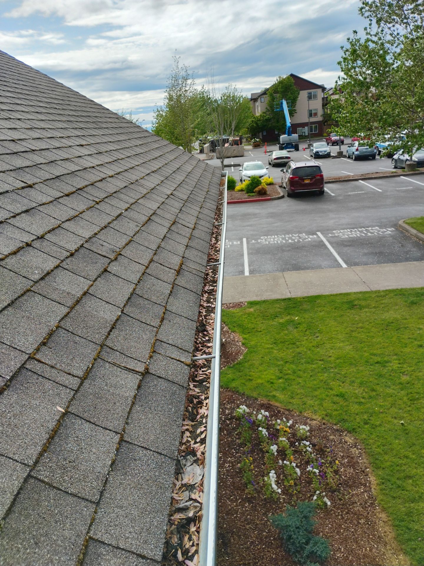 Commercial gutter cleaning Eugene before photo with filled gutters