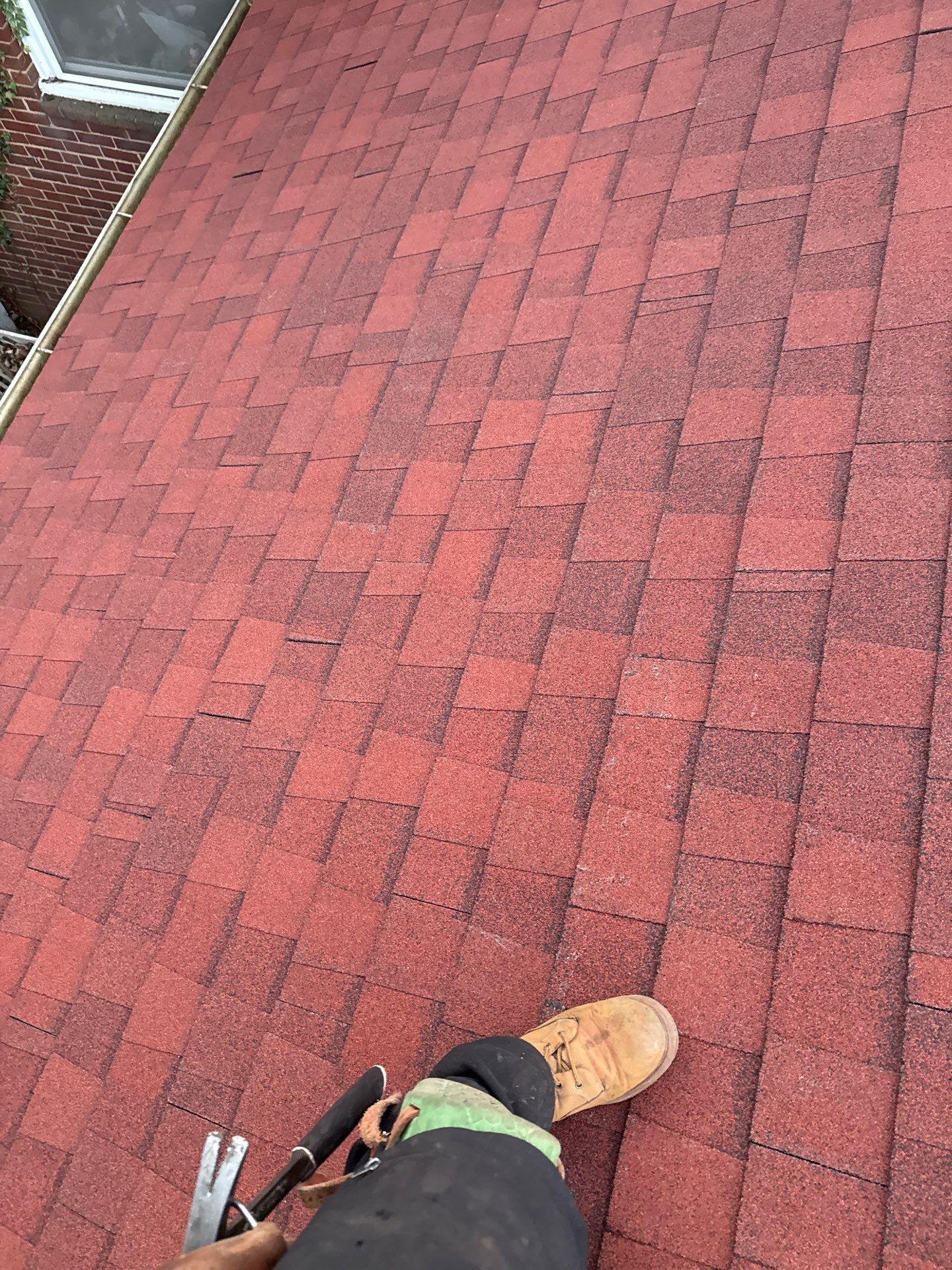 Arlington :Residential Roof Replacement with CertainTeed Landmark Pro in Max Def Red Oak  by RM Banning, Inc.