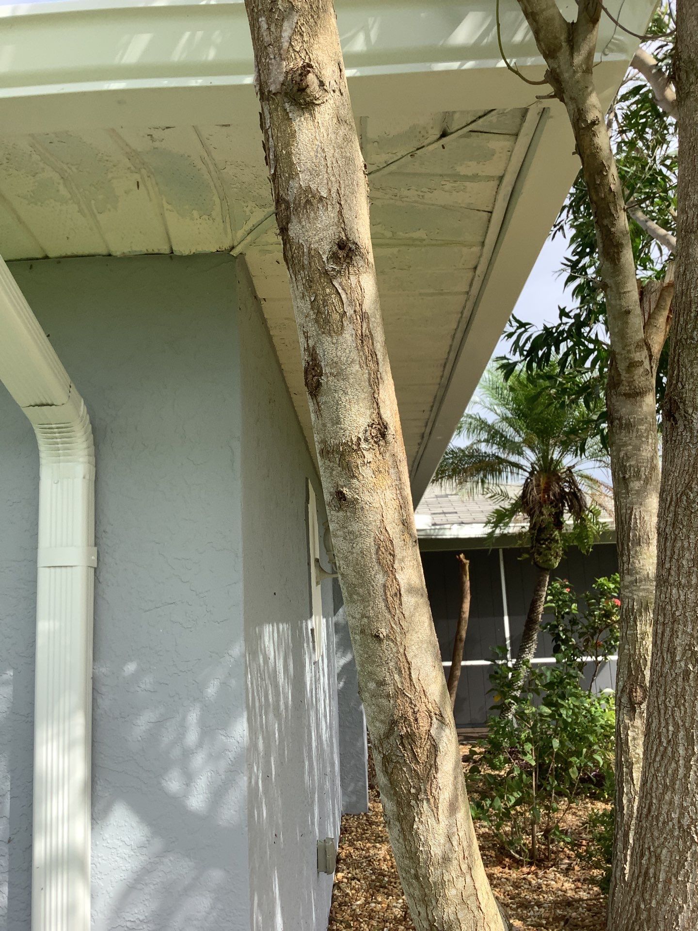 New Gutter System with Splash Guards in Cape Coral FL by Gutter Professors