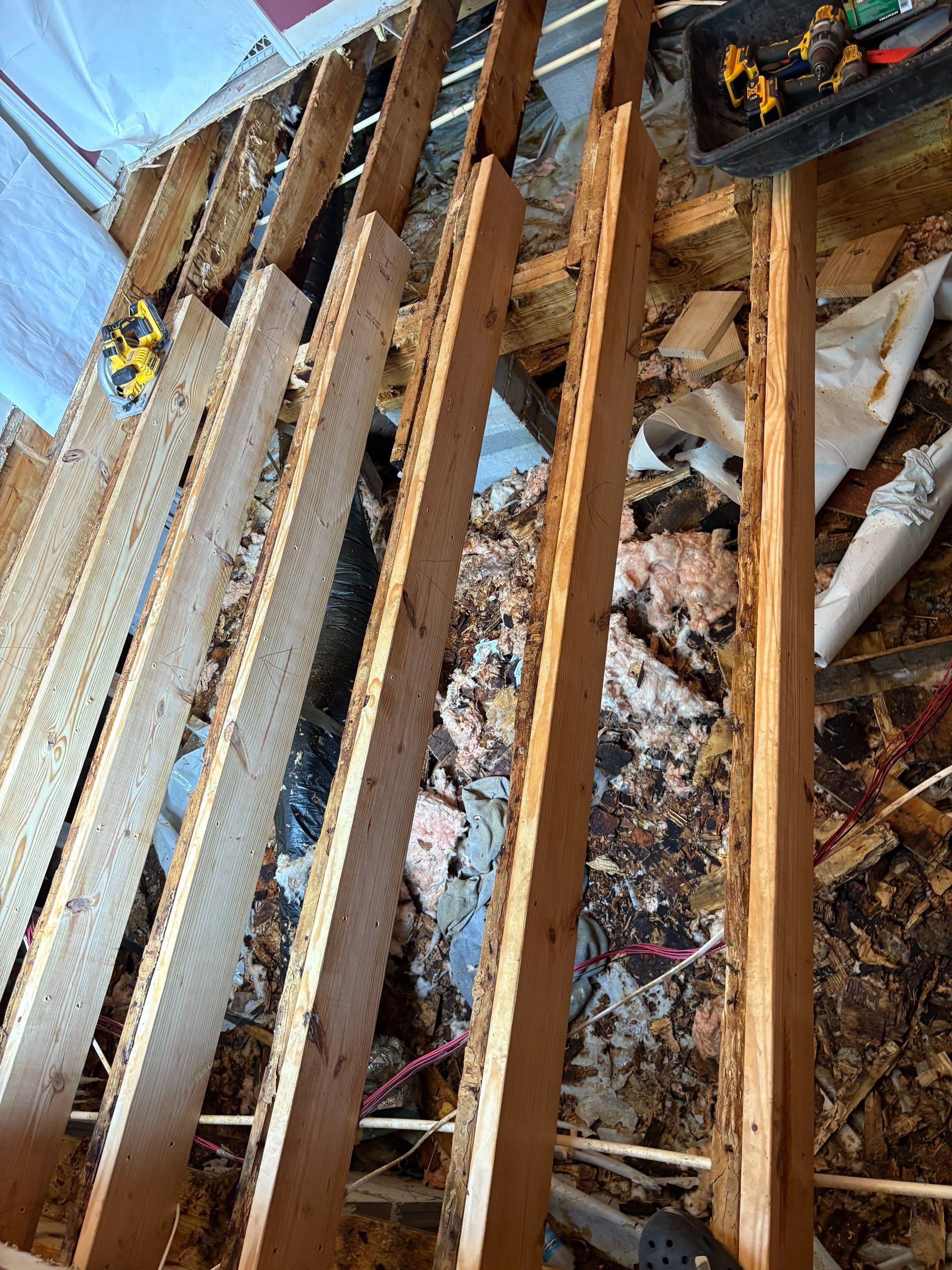 Moisture Barrier, Mold Clean, Structural Repair, Dehumidifier, R19 Insulation. by Impact Crawlspace