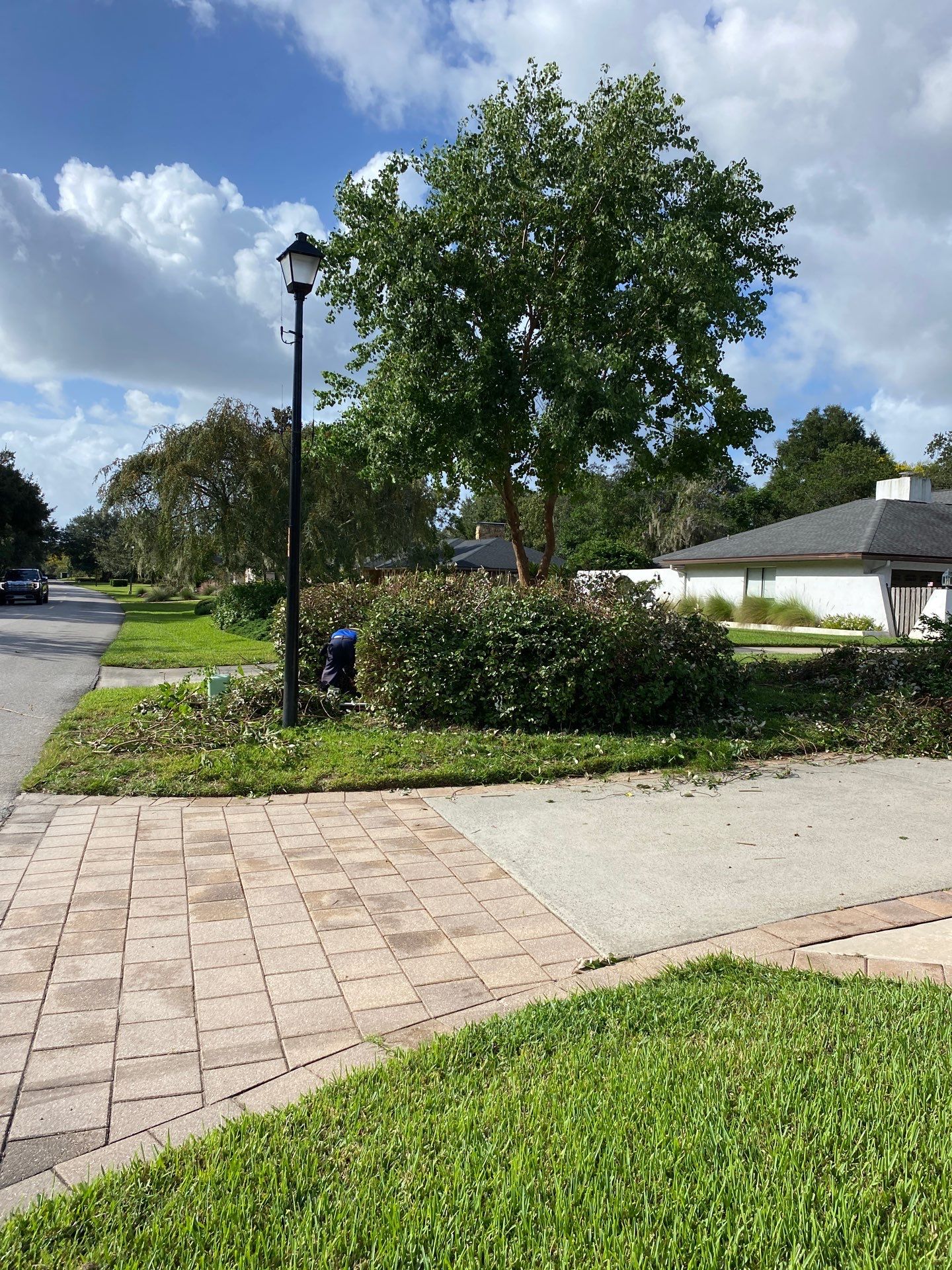 Deerwood Residence | Extreme Clean Up by ProGreen Services
