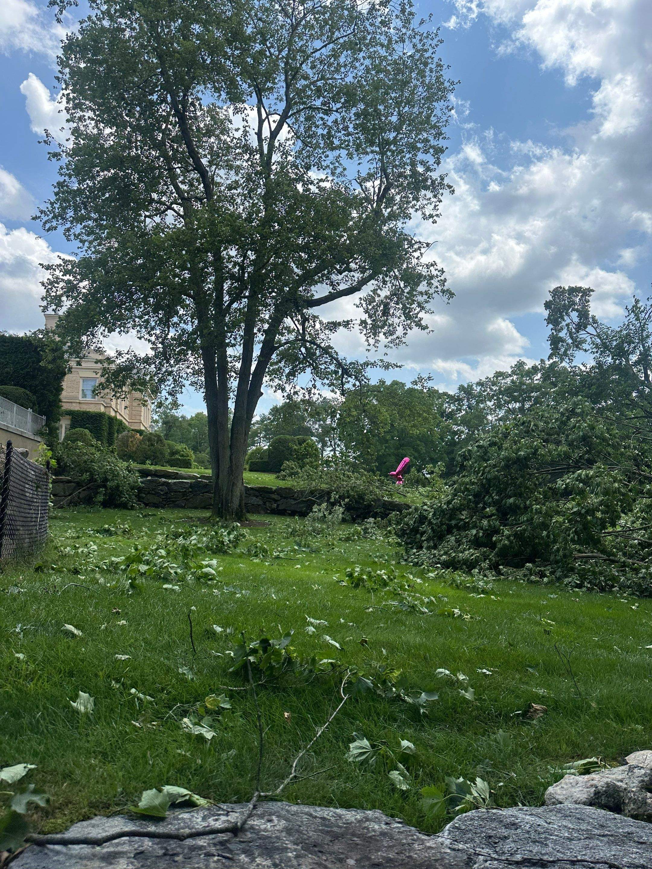 Emergency Tornado Damage Cleanup and Hazardous Tree Removal in Harrison by Fox Hill Luxury Real Estate Services