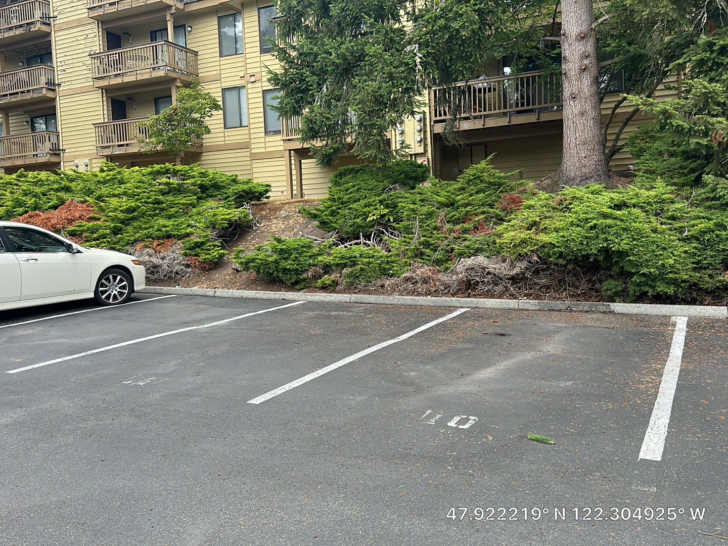 Dana | Asphalt Parking Lot Repair, Sealcoat & Striping by Jireh Asphalt & Concrete Inc 