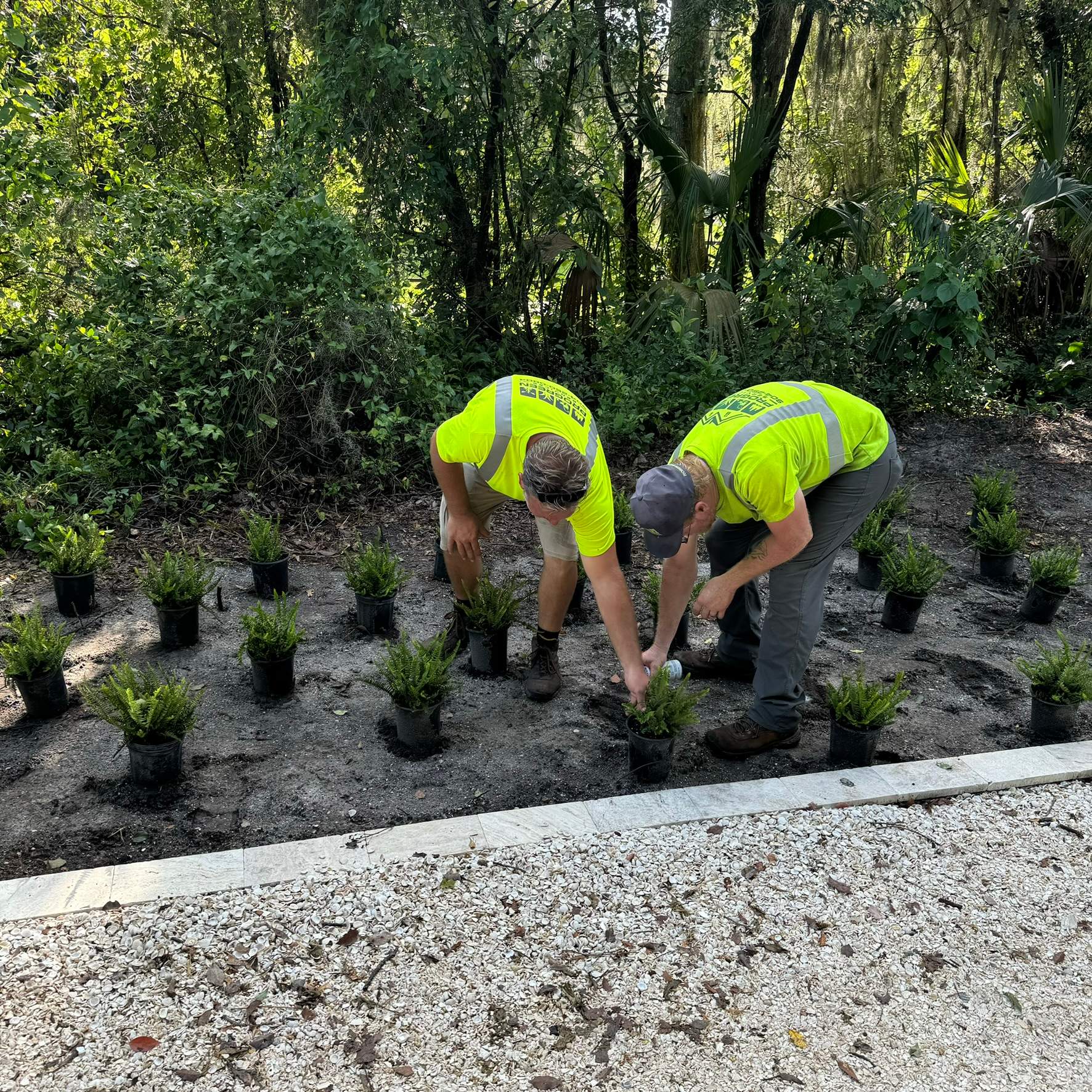 Landscape Install | Residence by ProGreen Services