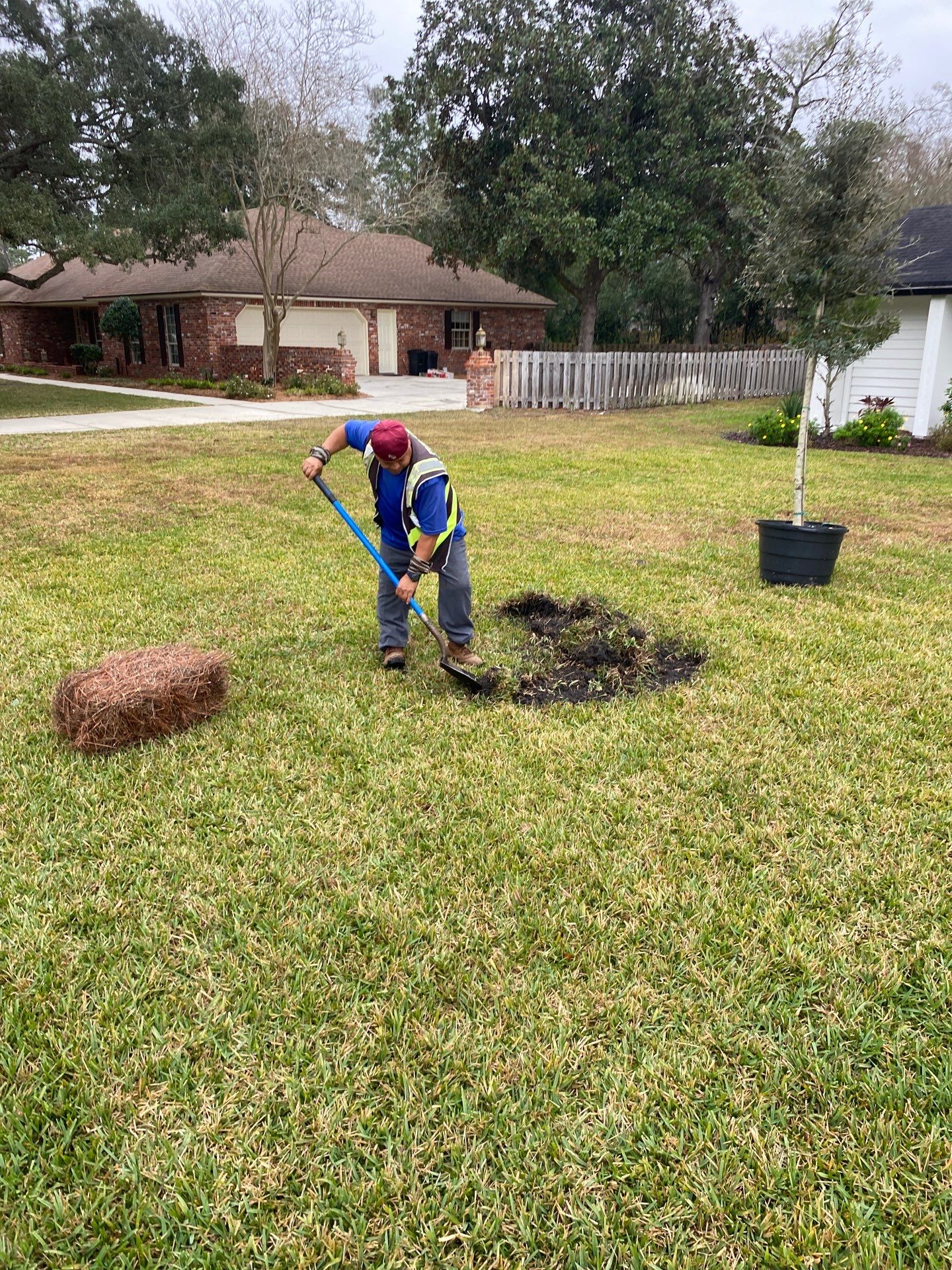 Deerwood | Live Oak Planting Project  by ProGreen Services