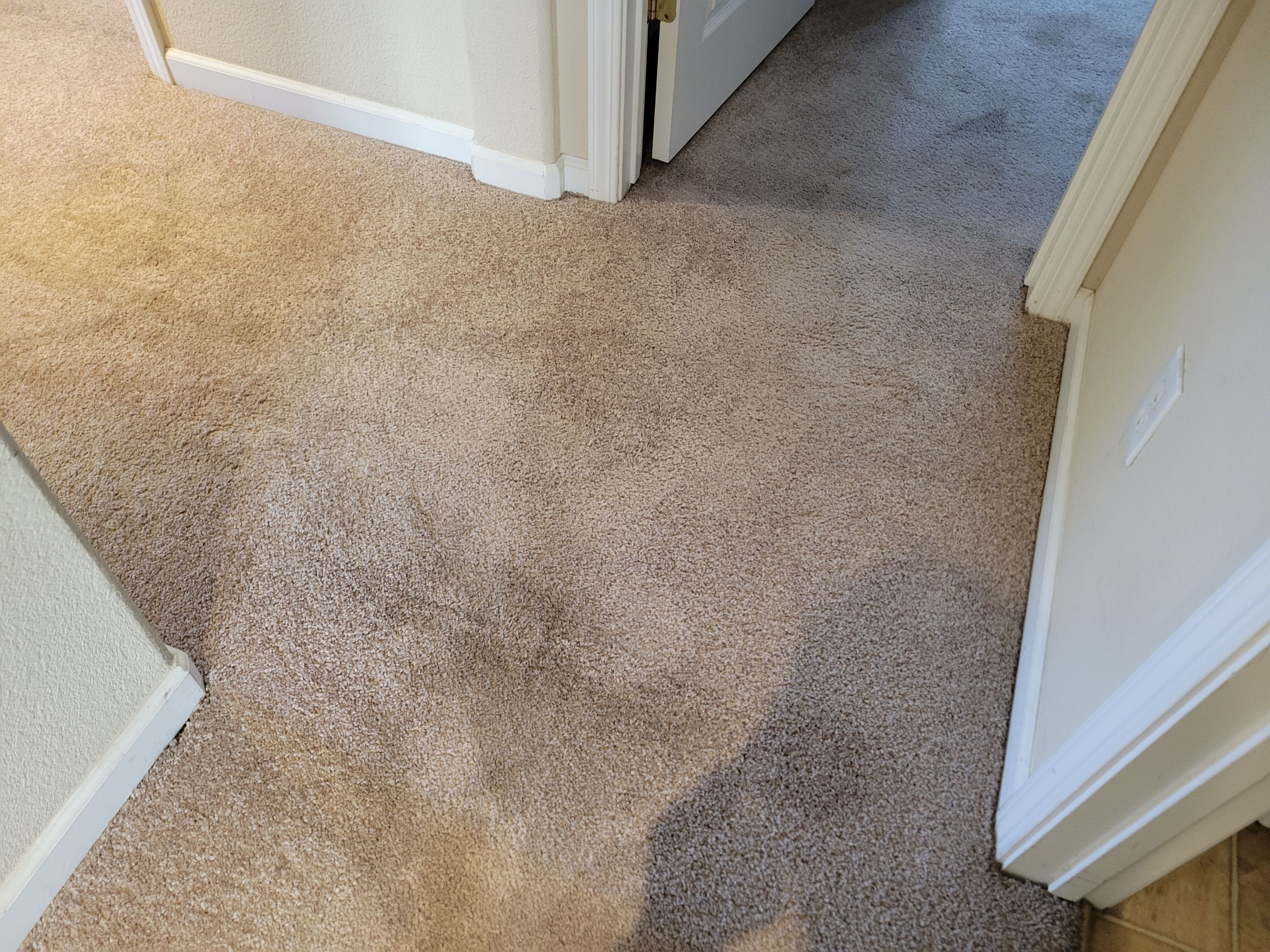 Carpet Re-stretching and Corrective Repair by Ardent Carpet Restore LLC
