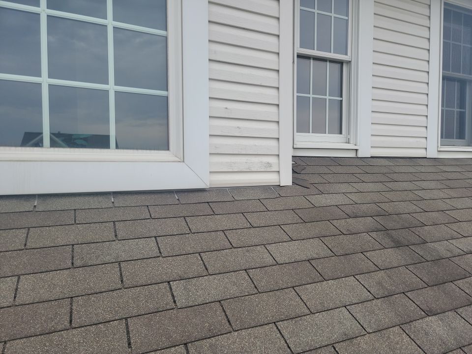 Denise Diveley by Silver Leaf Contracting 