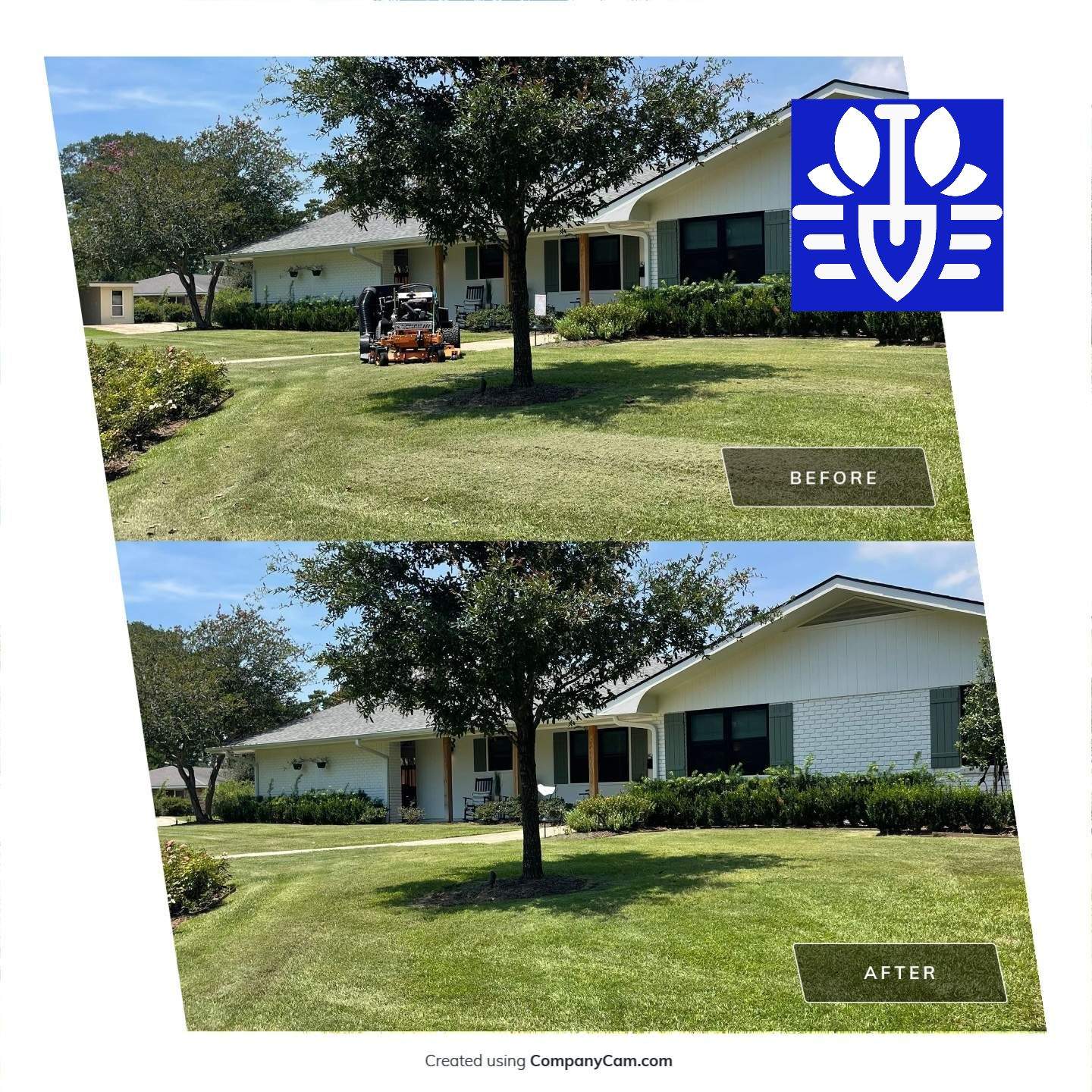 RESIDENTIAL LAWN MAINTENANCE: *OPTIONAL* VAC & BAG GRASS CLIPPINGS AND DEBRIS WITH SCAG GRASS CATCHERBAGGING GRASS CLIPPINGS AND DEBRIS WITH SCAG GRASS CATCHER by CutScape, LLC.