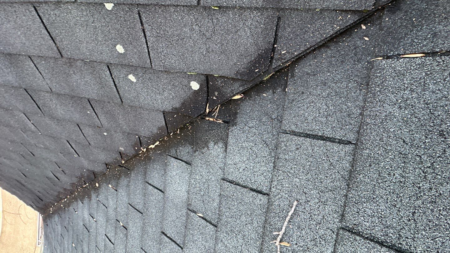 Alexandria CertainTeed Landmark Pro Roof in Max Def Pewterwood  by RM Banning, Inc.