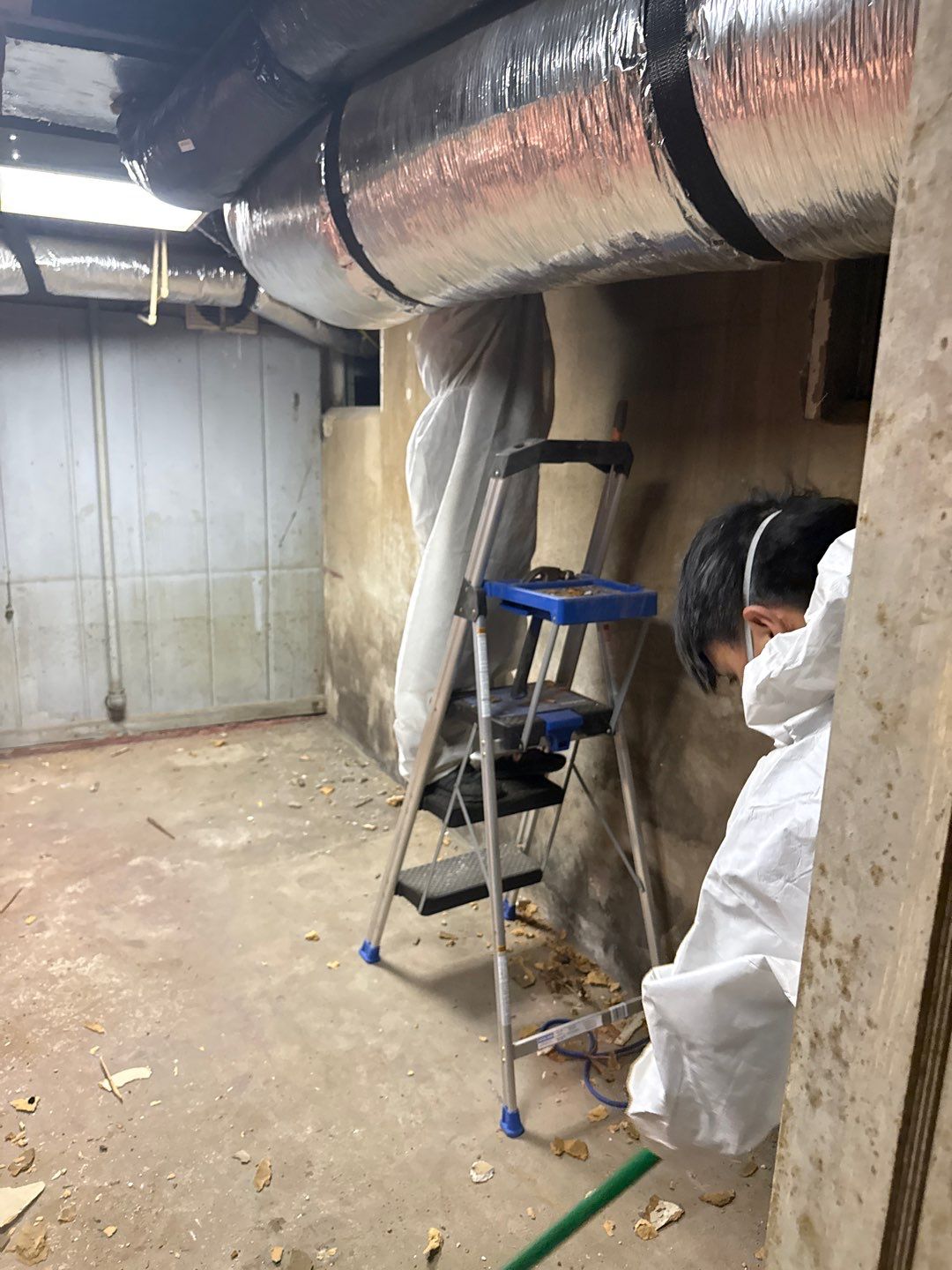 Rehoboth Beach VFW Indoor Air Restoration & Basement Mold Remediation by Healthy Home Solutions