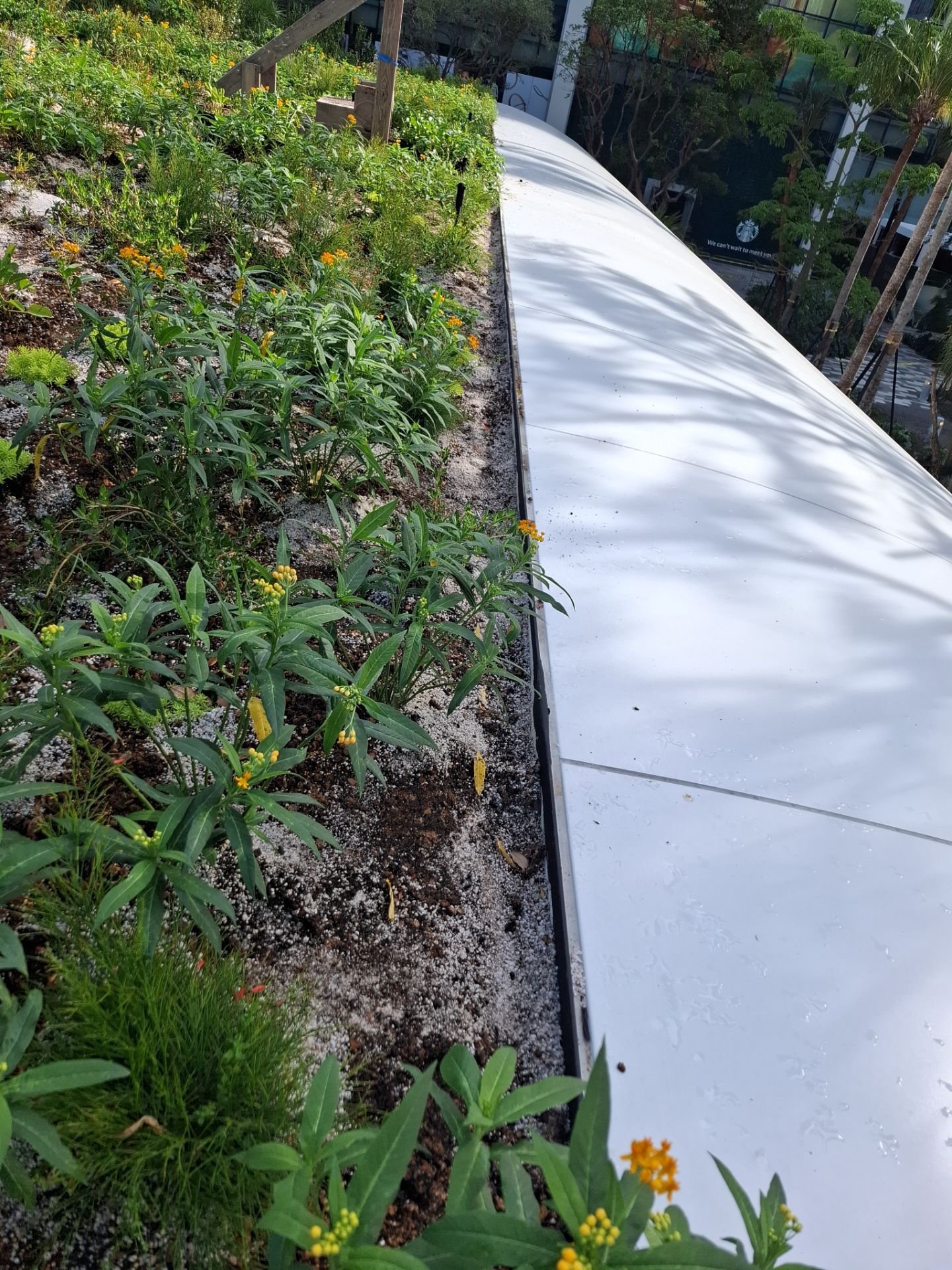 Commercial Roofing Installation and Foundation Waterproofing in Miami by AJF ROOFING INC
