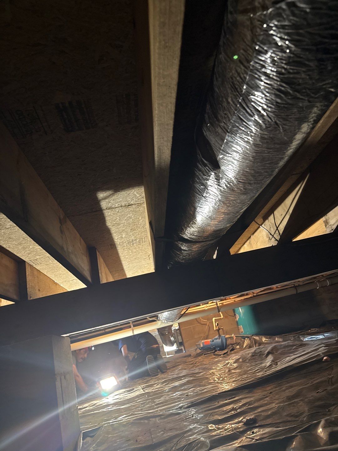 Real Estate Mold Remediation by Healthy Home Solutions