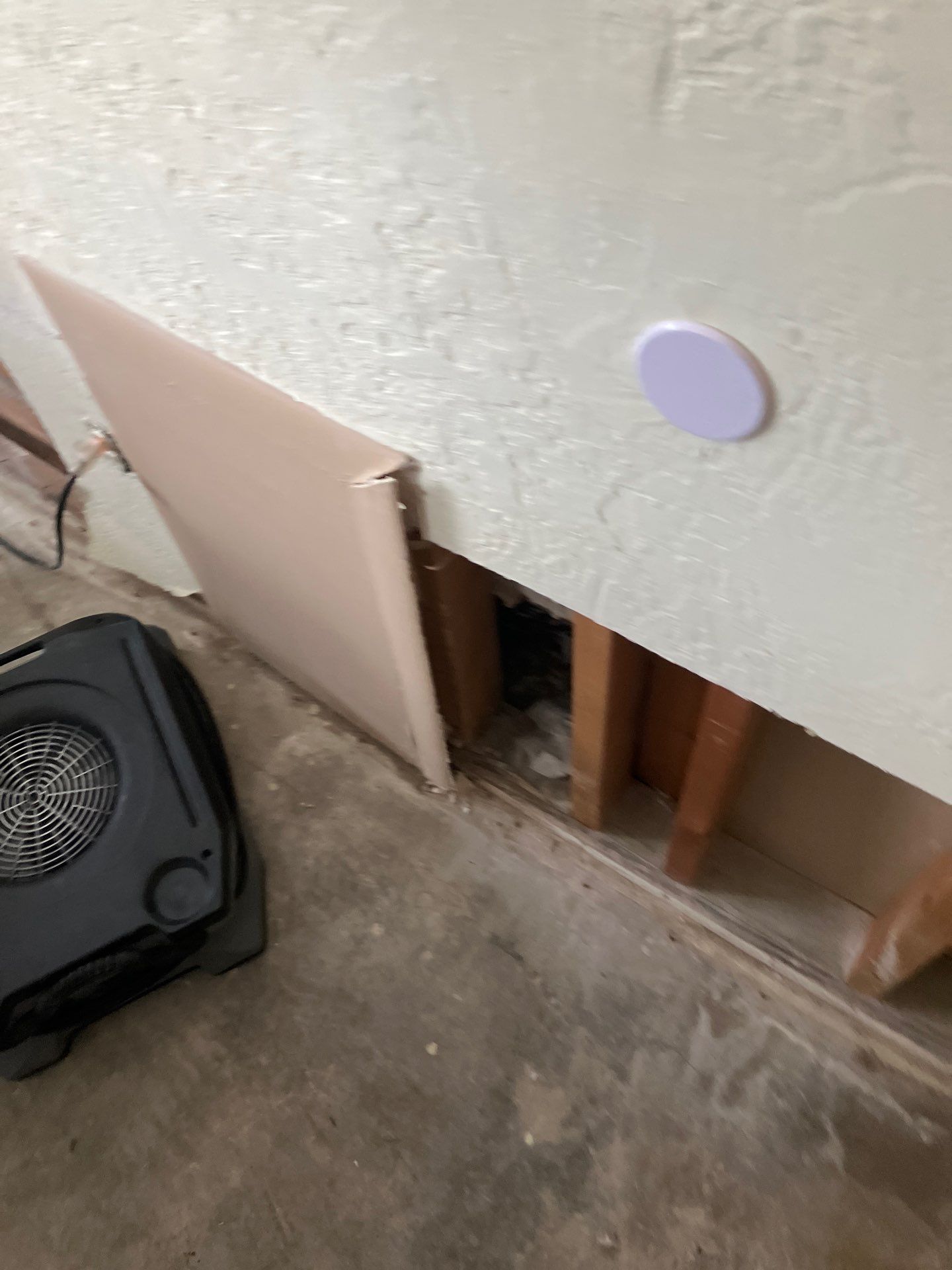 St. Pete Water Damage Mitigation by Ampm Restoration Services