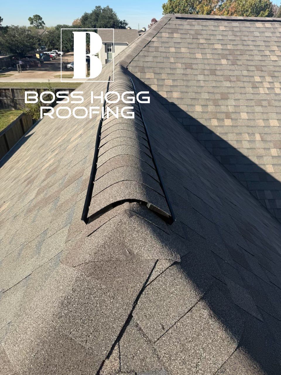 NOMI B. by Boss Hogg Roofing
