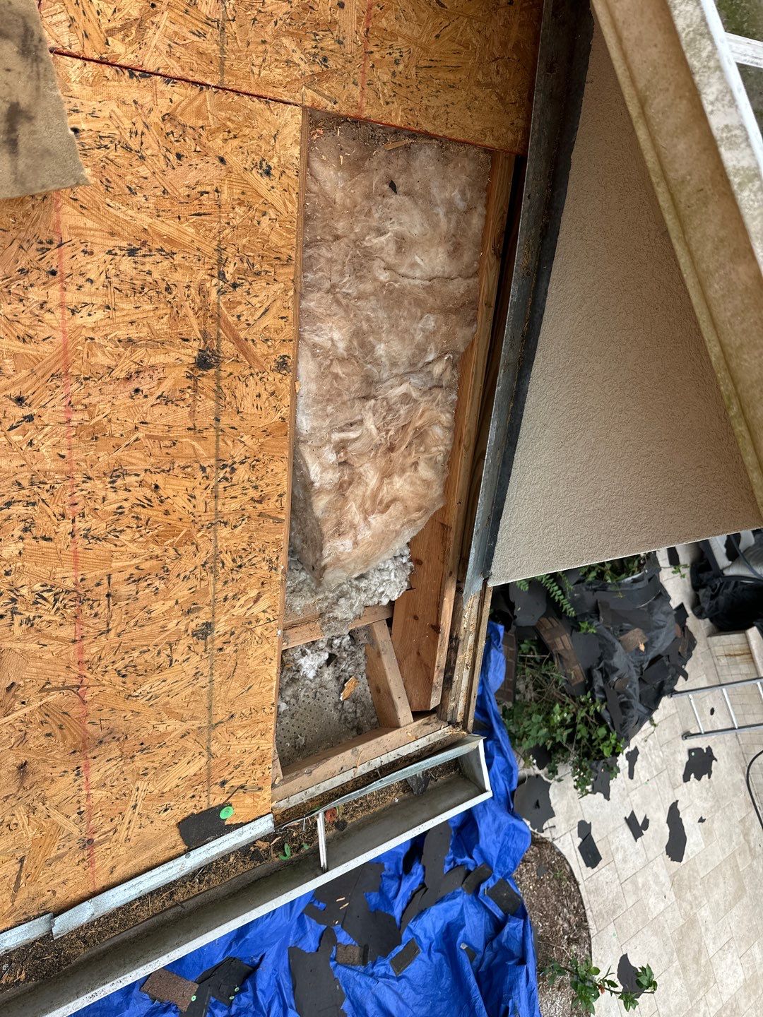 Roof Replacement Spring by Roof Repair Company