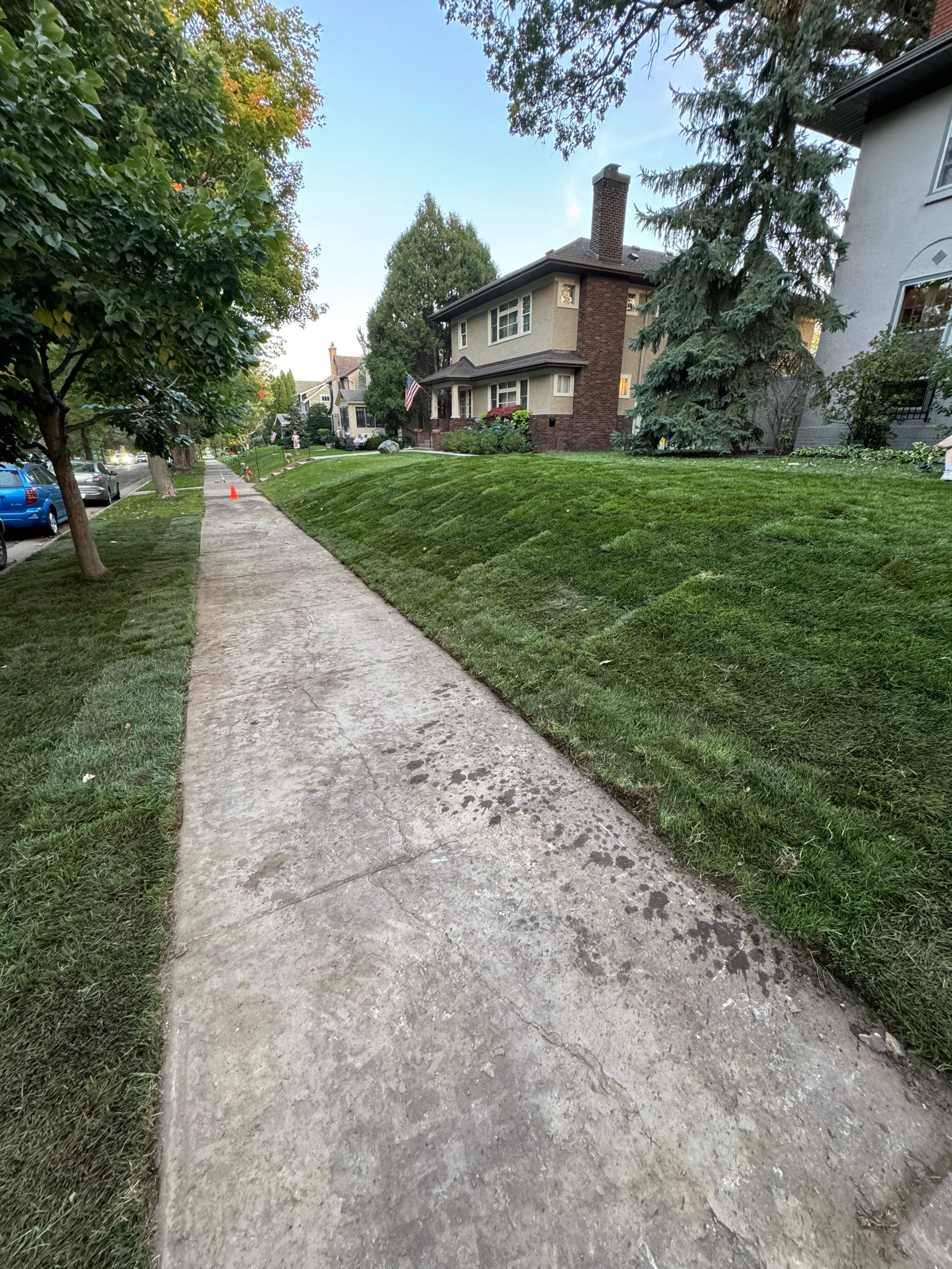 Grade Correction by Sota landscaping