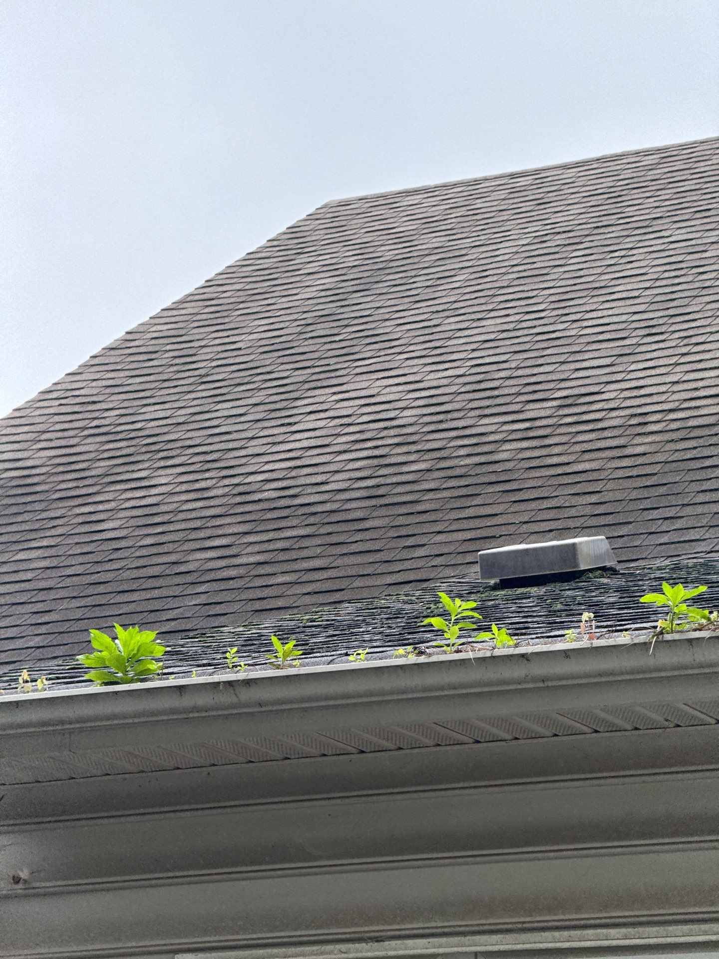 Project in Midlothian by Roof Maxx of Midlothian