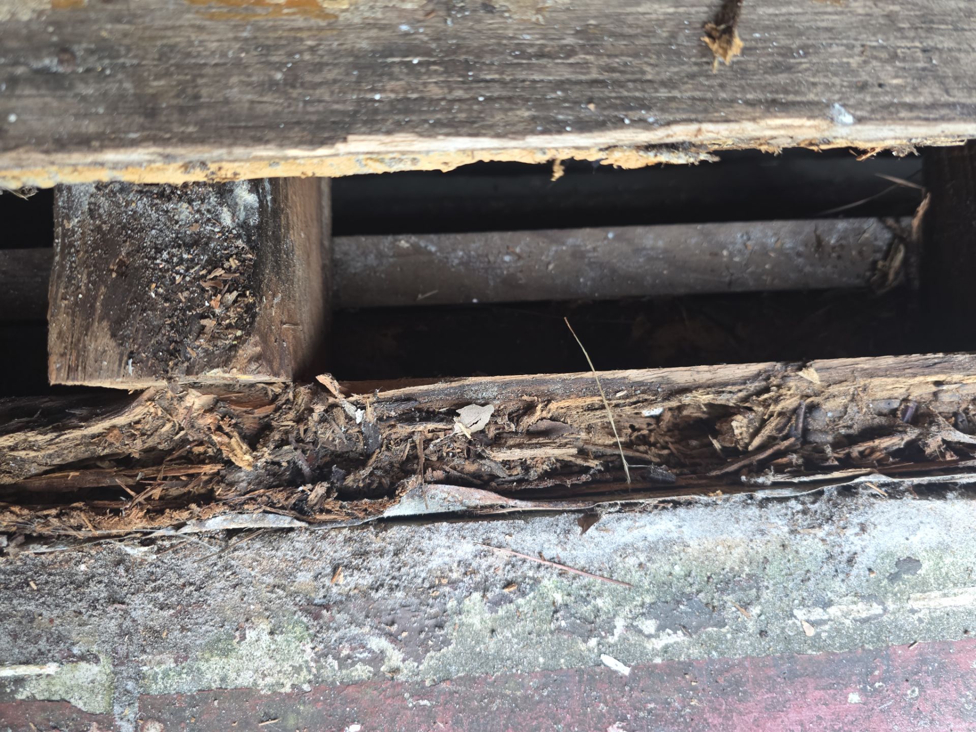 Entry Door Replacement and Fascia Repair in Wilmington, NC by RGR Construction and Roofing, LLC