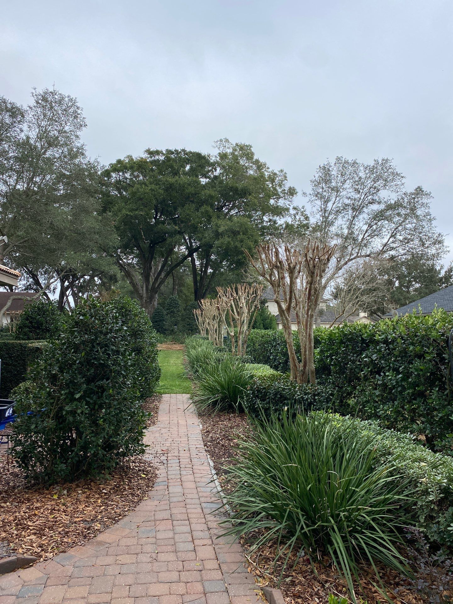 Deerwood Residence | Tree Trimming by ProGreen Services