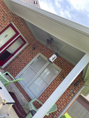 Downing Park - Paint