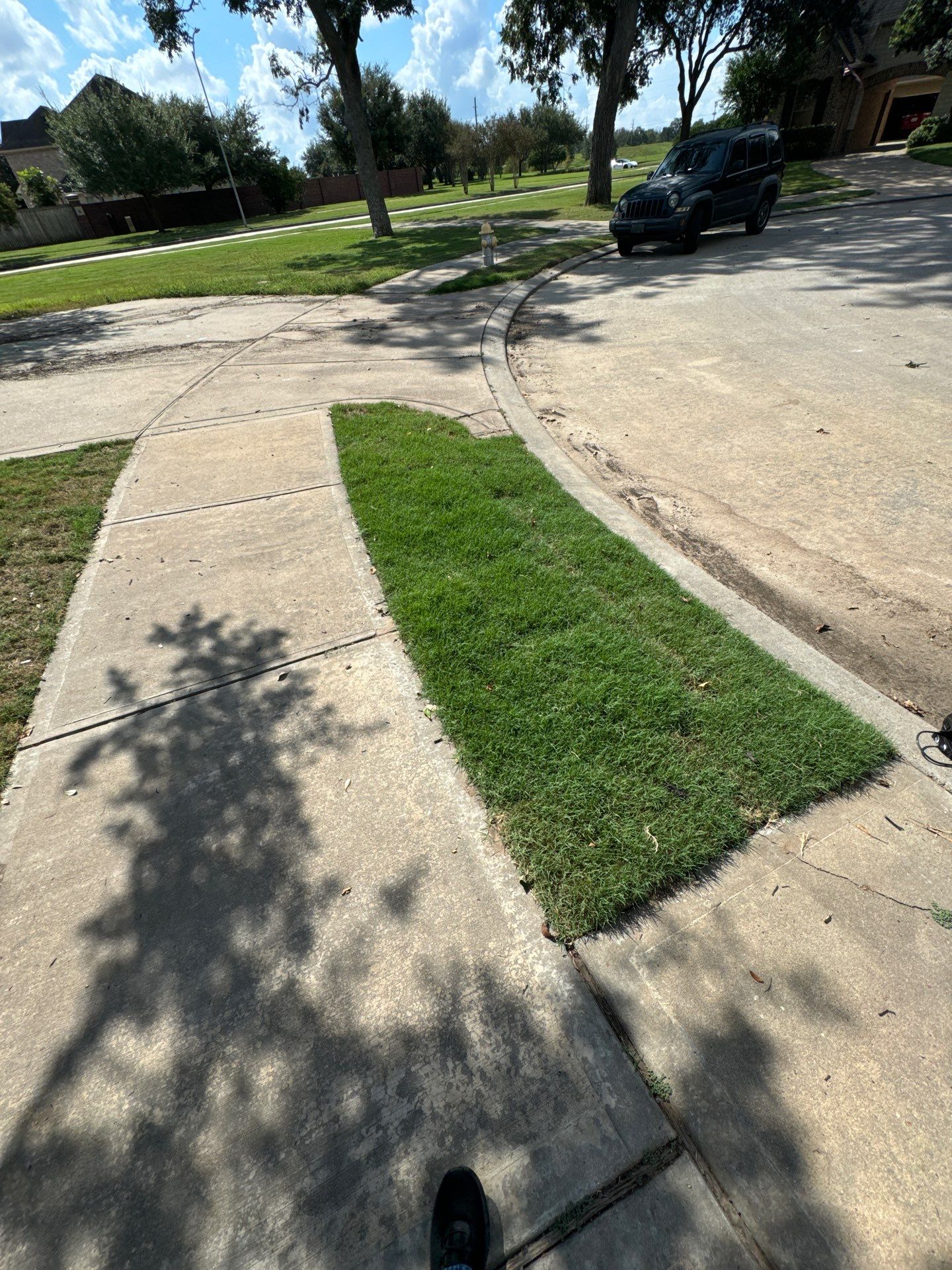 🌿🏡 Project Spotlight: Front Yard Curb Appeal Rescue for Mr. B. Khara by Texas Urban Elements