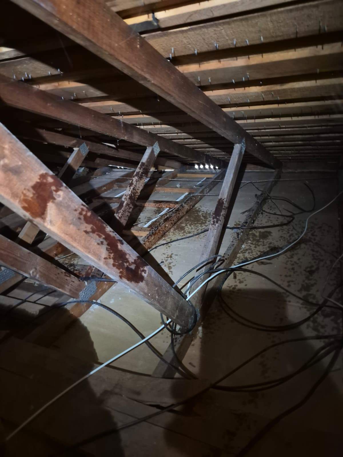 Project by Advanced Attic Solutions by Advanced Attic Solutions