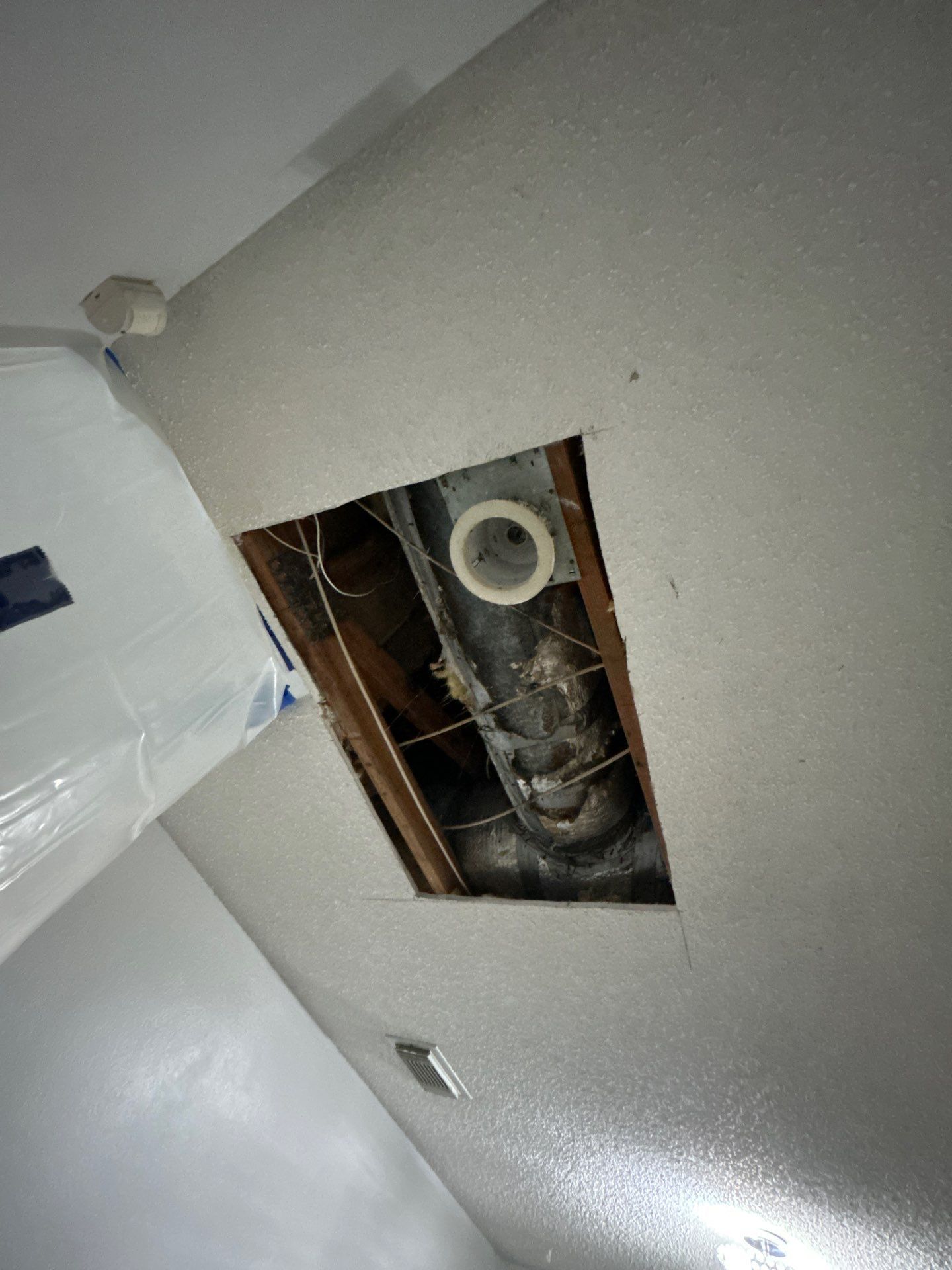 Mold Removal In Sarasota Florida by Ampm Restoration Services