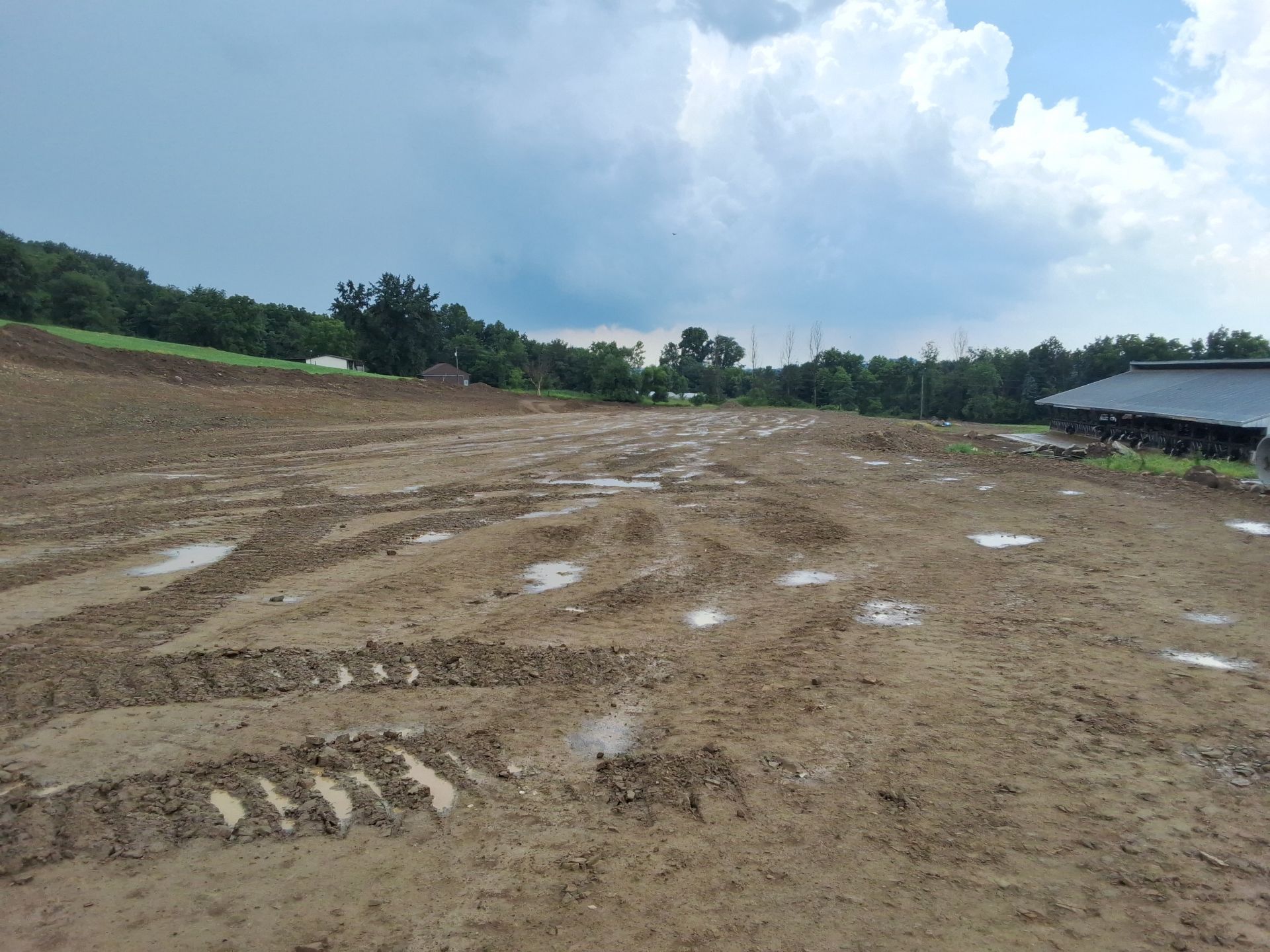 Sterlin Heights Dairy project by Avodah Contractors