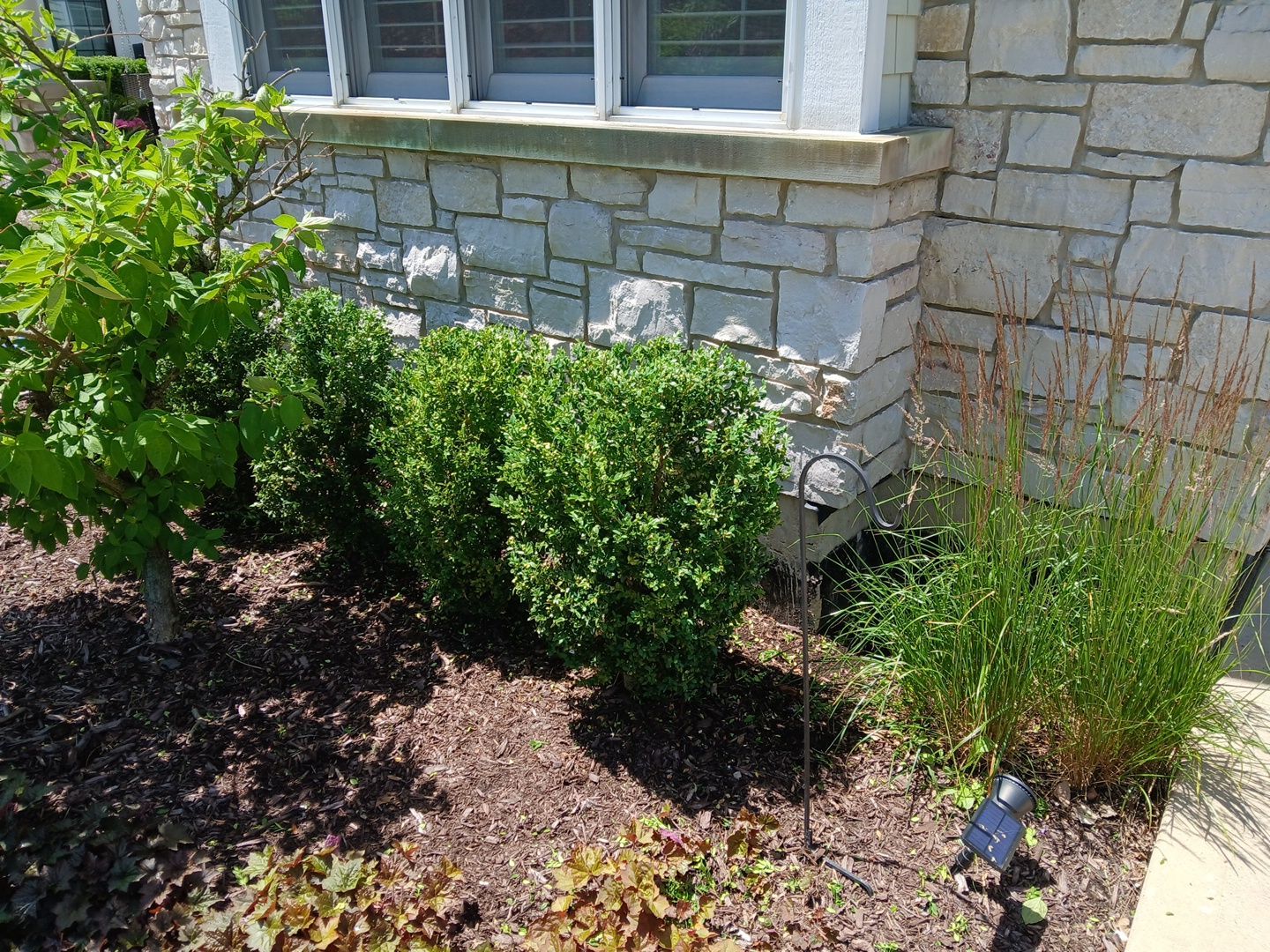 Lisa C. - Arlington Heights, IL by A&N