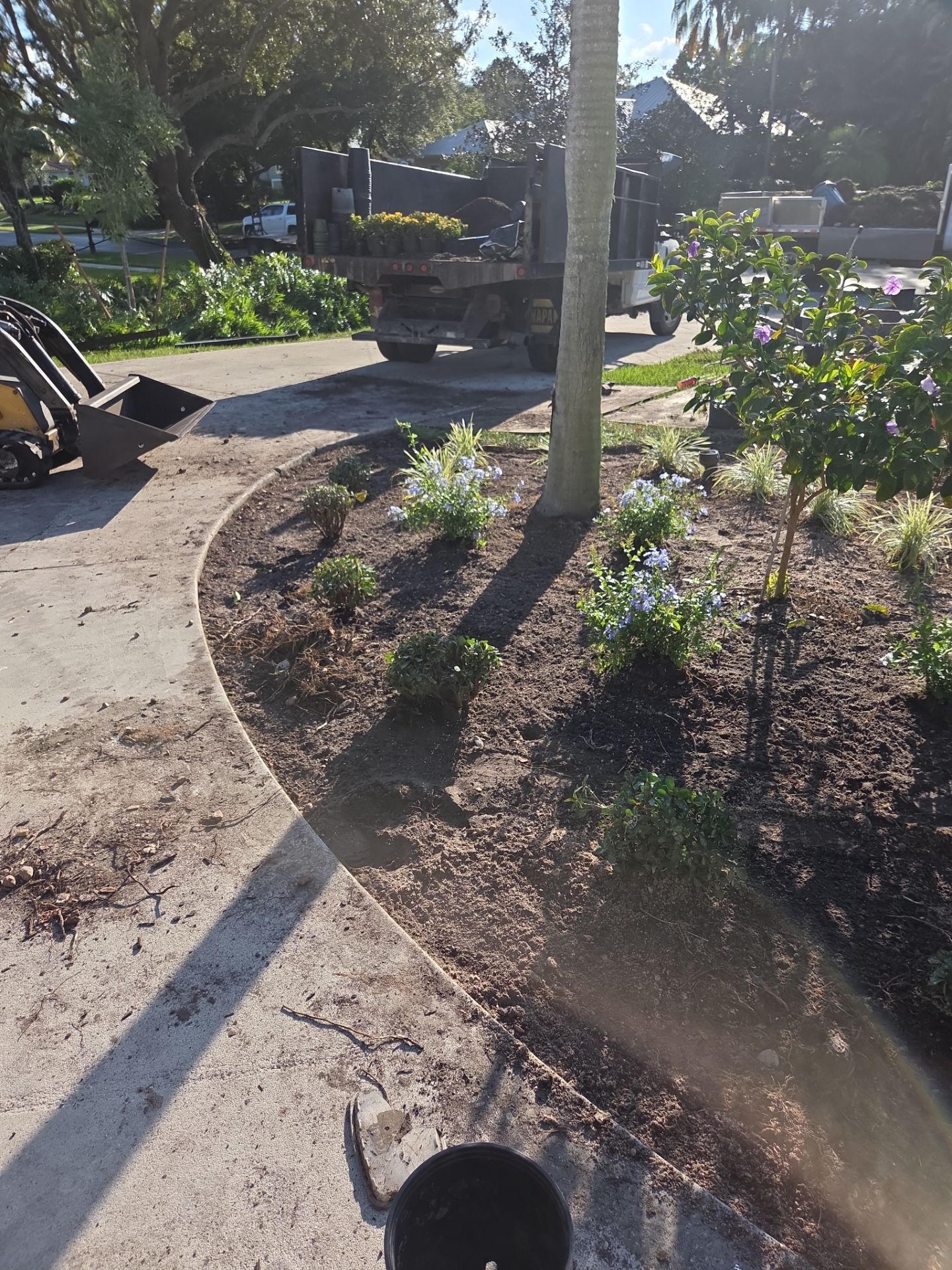 🌴 Landscape Removal and Install in Palm City by Alpha Zeta Enterprises Inc