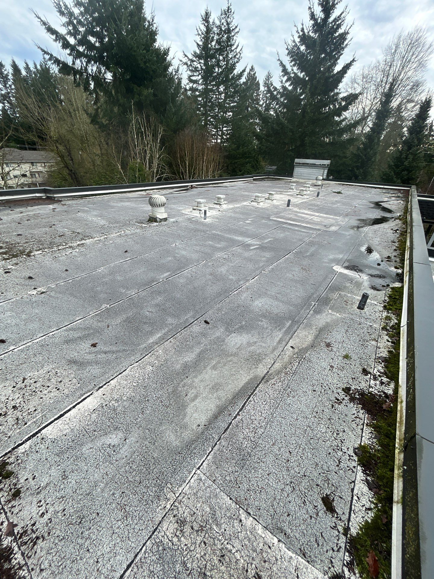 Project in Kirkland by Connolly Construction Company