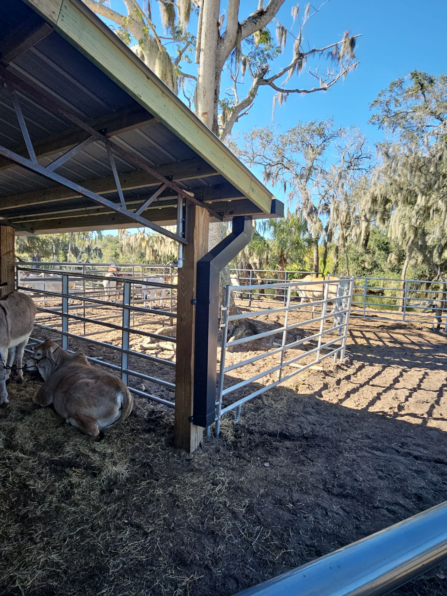 Soffit and Fascia Installation and Smooth Box Gutters and Downspouts in Sarasota FL by Gutter Professors