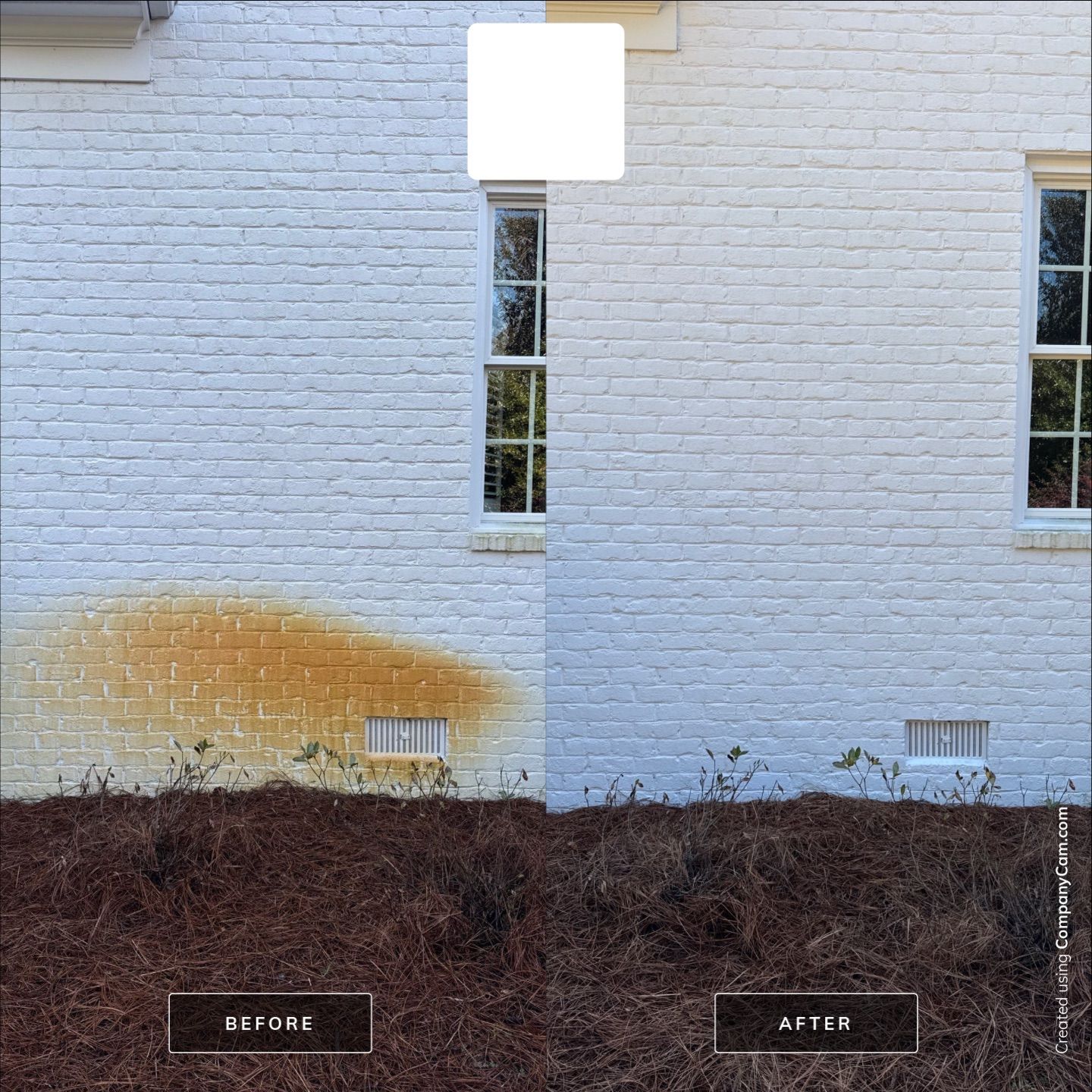House Washing in Wilmington by Shark Power Washing