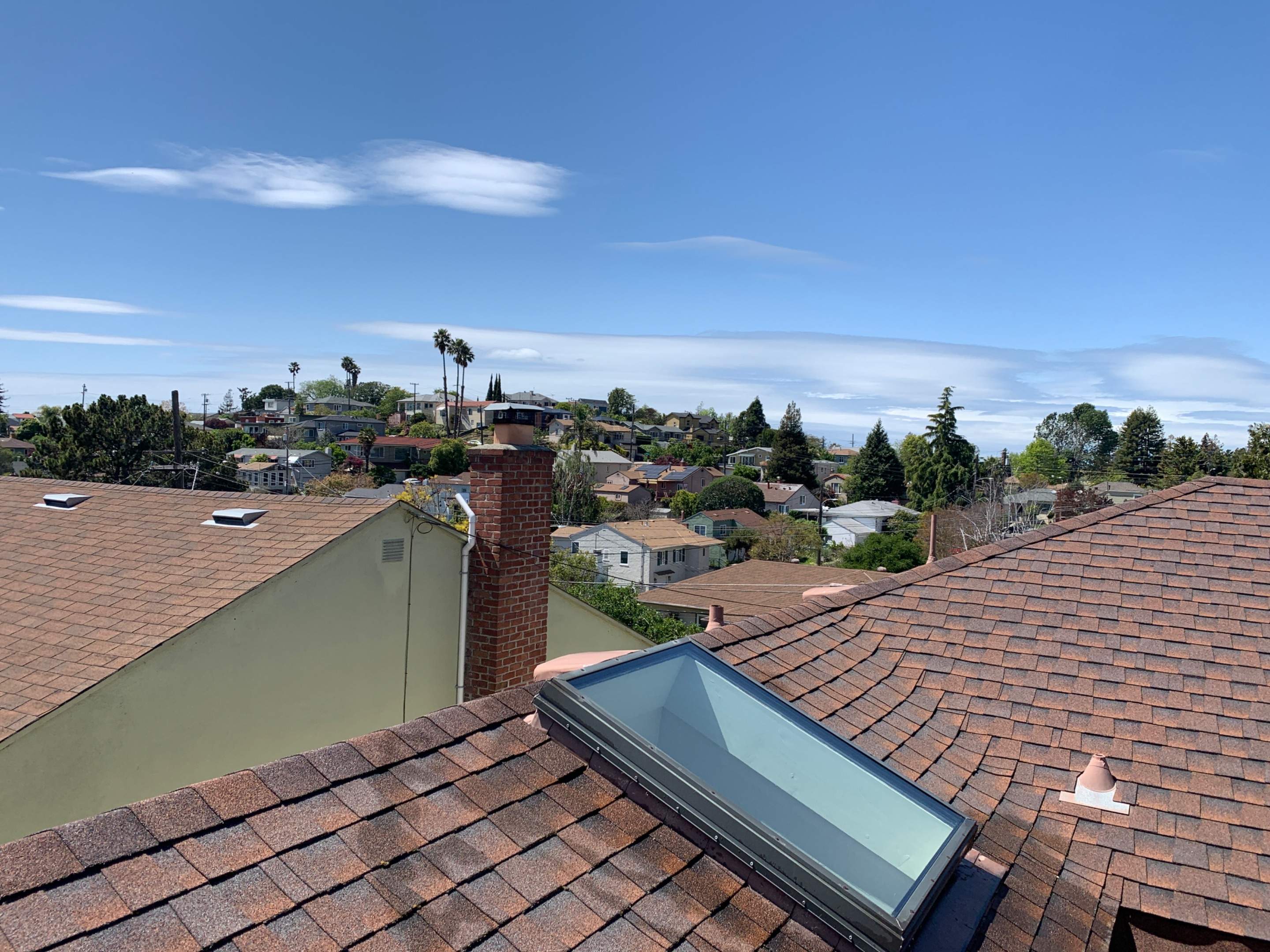 Mary Dermody by SpotFree Window Cleaning