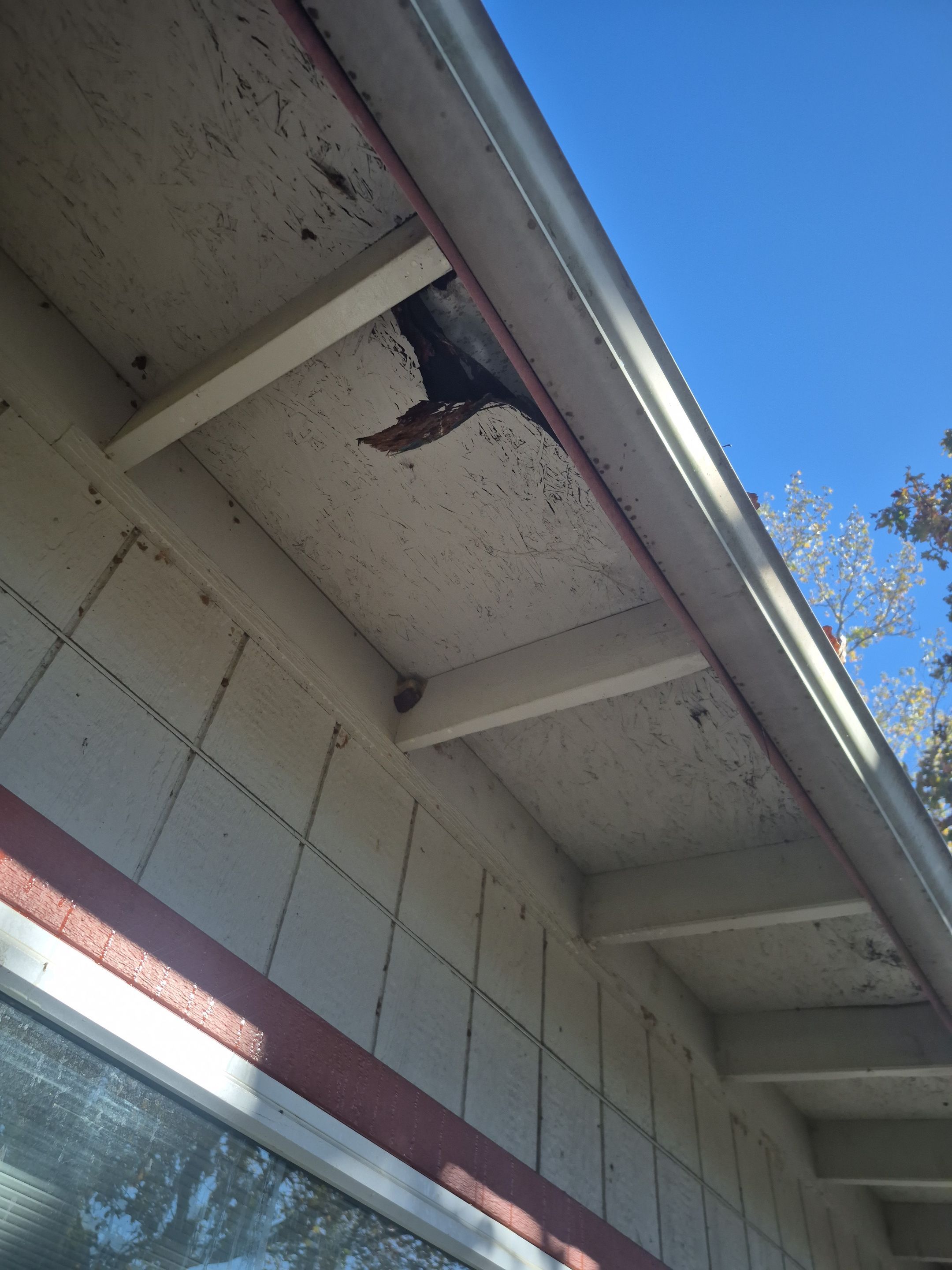 Exterior Repaint – Mineola, Texas - Move in Ready Now!! by Quality Coats Painting